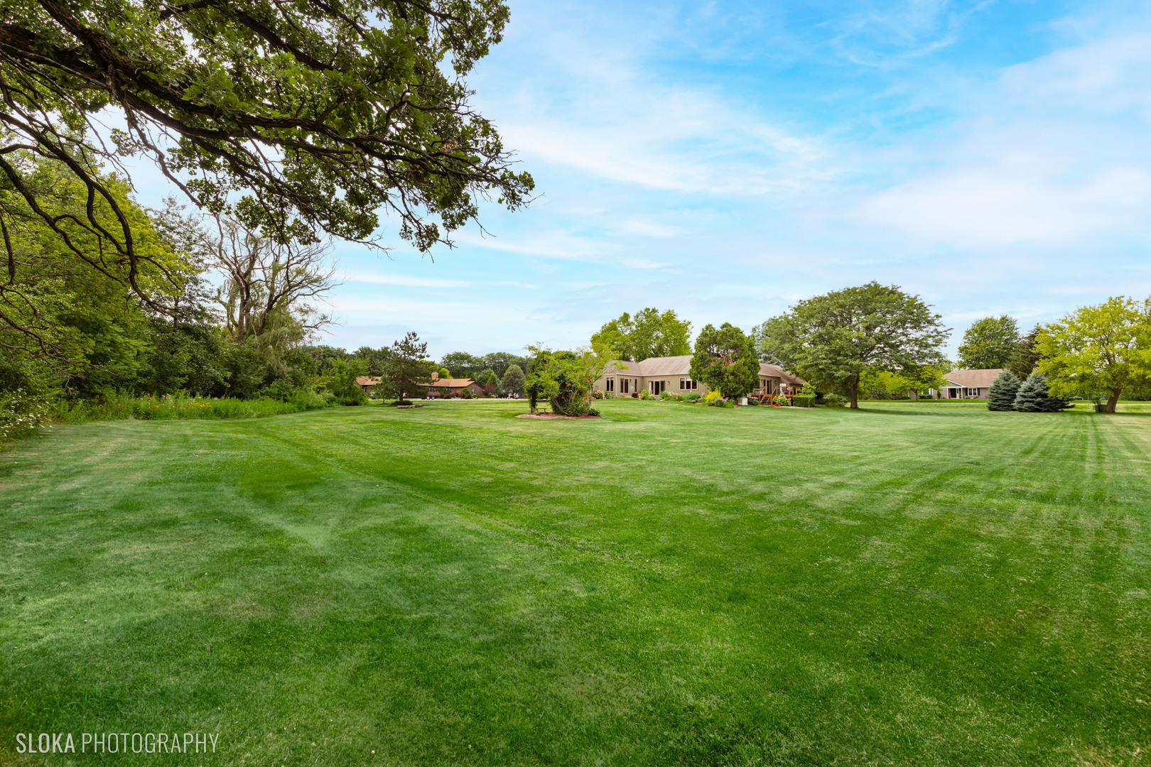 2920 Springbrook Road Crystal Lake, IL 60012 - Photo 31 of 39 a view of yard with outdoor space