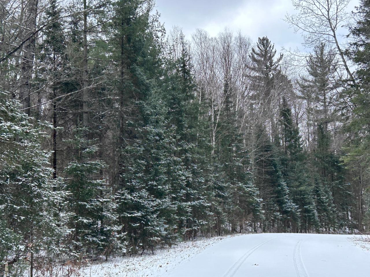 Lot # Moonshine Valley Road Presque Isle, WI 54557 - Photo 3 of 4 Gallery Image 3