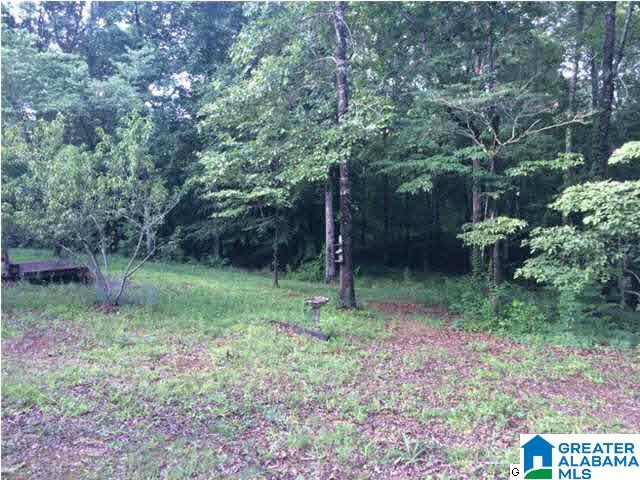 20241 Hephzibah Church Road McCalla, AL 35111 - Photo 15 of 18