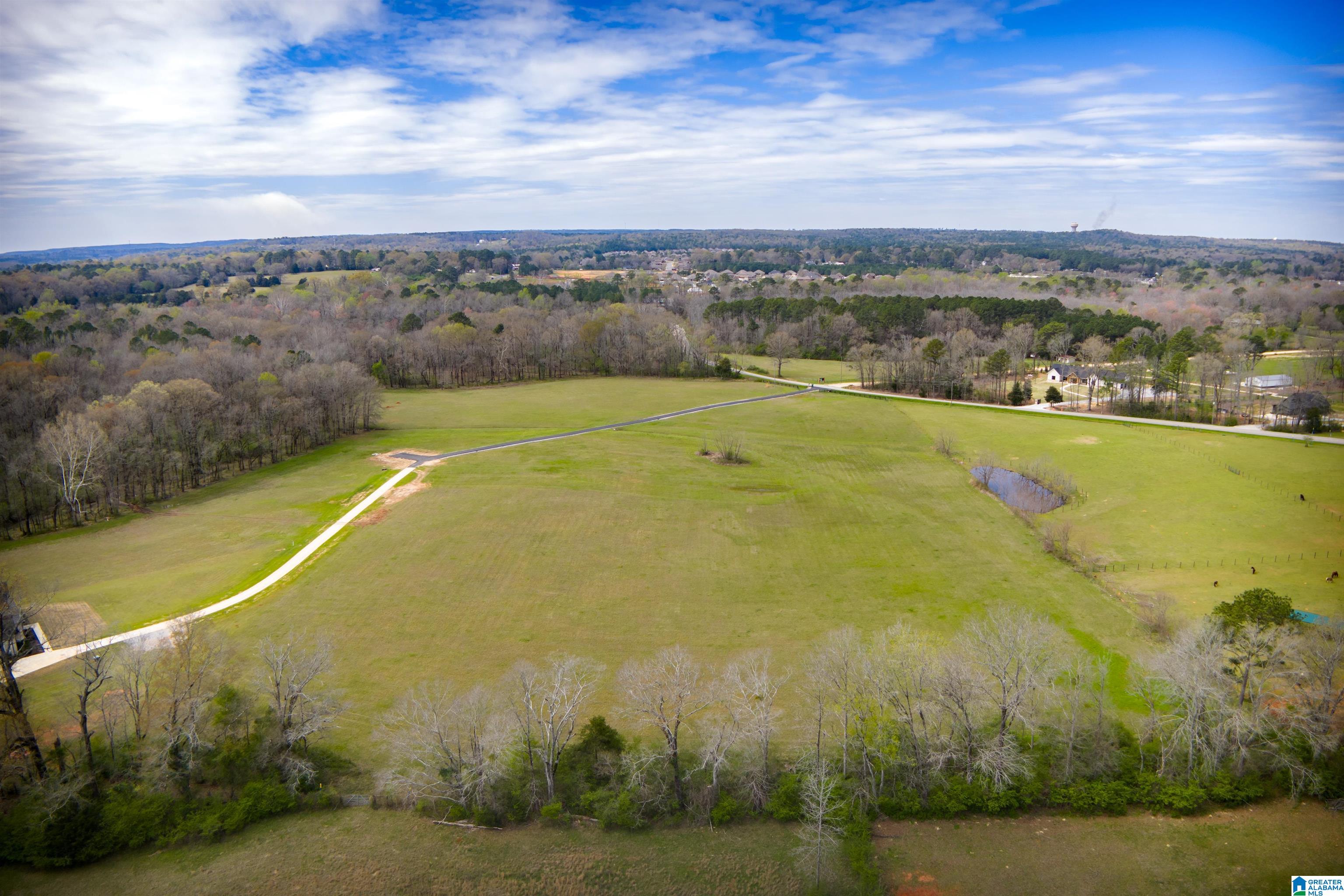 850 County Road 24, Unit 1B Montevallo, AL 35115 - Photo 10 of 24