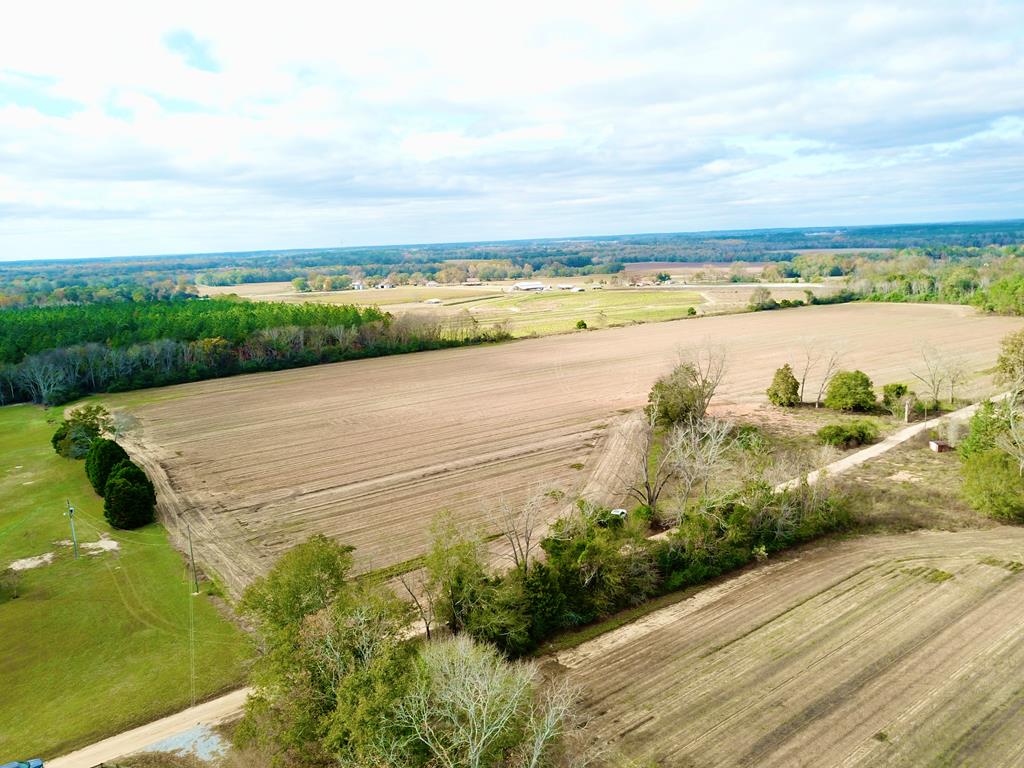 3.42-acres Summer Road Slocomb, AL 36375 - Photo 17 of 24