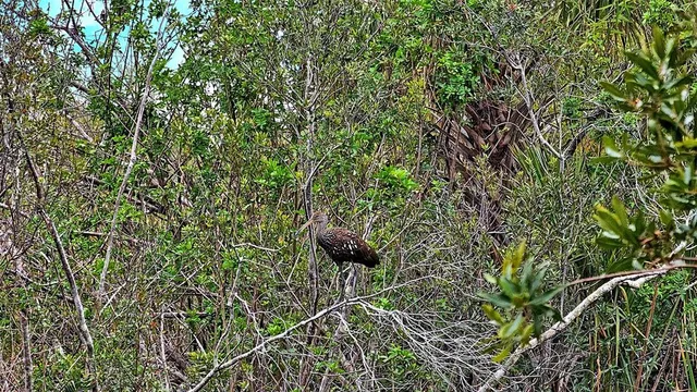 $430,000 | 206 Bella Vista Terrace, Unit 29B, North Venice, FL 34275