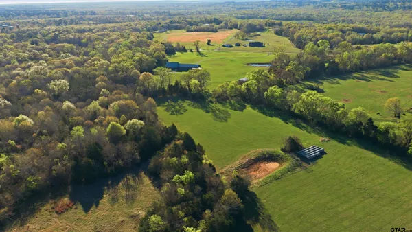 an aerial view of a residential houses with outdoor space