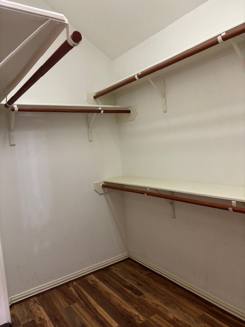 18031 Redbud Terrace Lane Cypress, TX 77433 - Photo 17 of 22 Primary Bedroom Closet