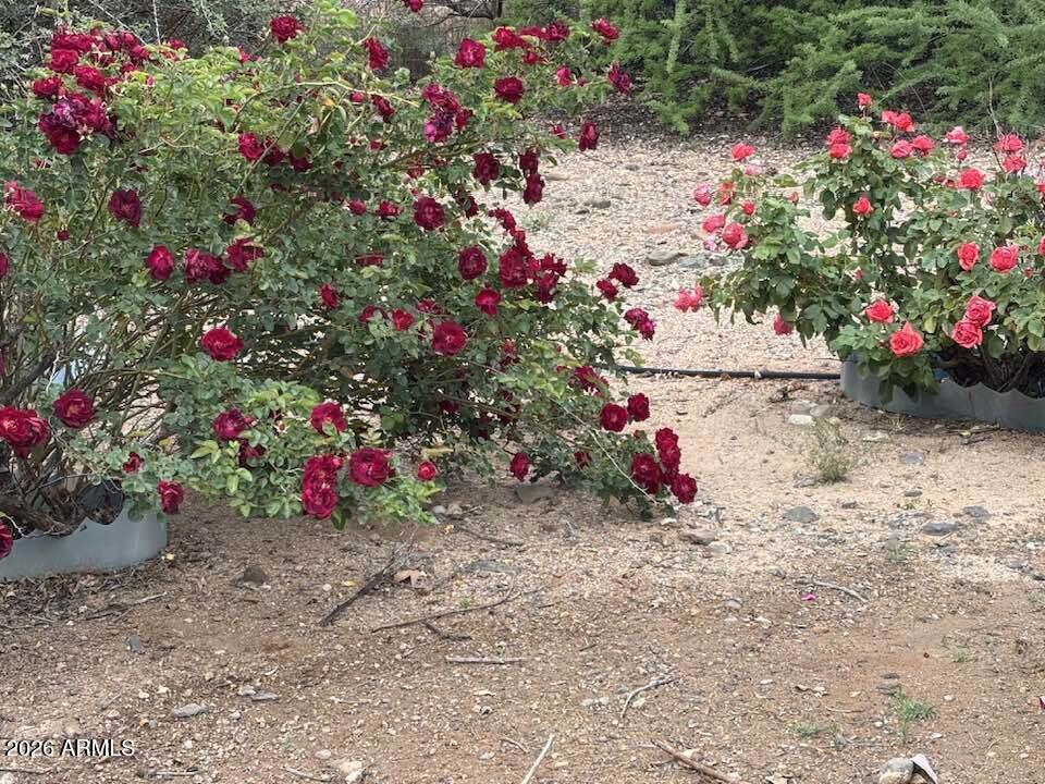 1602 Montezuma Heights Road Camp Verde, AZ 86322 - Photo 39 of 39 arena 2