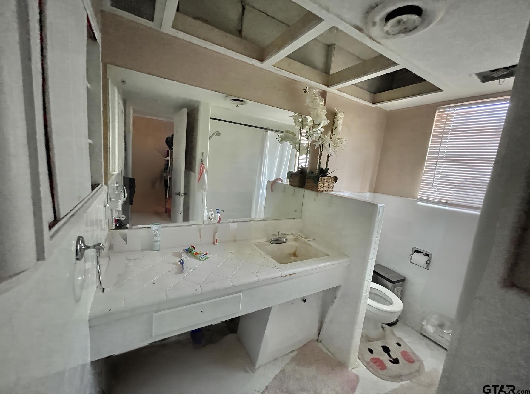 3300 Brookside Drive Tyler, TX 75701 - Photo 22 of 25 a bathroom with a sink and mirror with toilet
