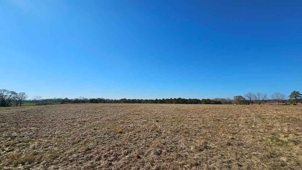 24.6-acres Grant Road Slocomb, AL 36375 - Photo 3 of 17
