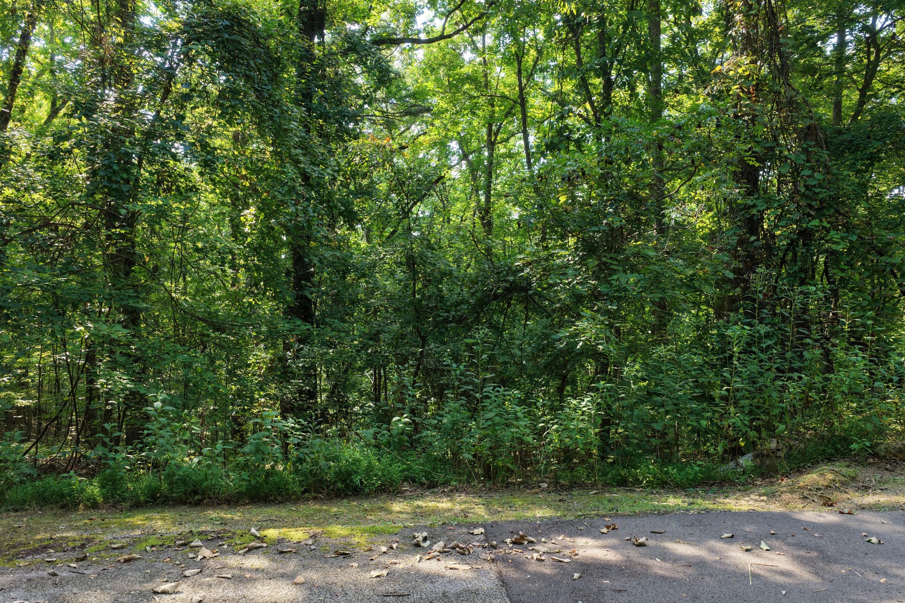 1 Bluffs Road North Guild, TN 37340 - Photo 35 of 52 BEVAP (33)