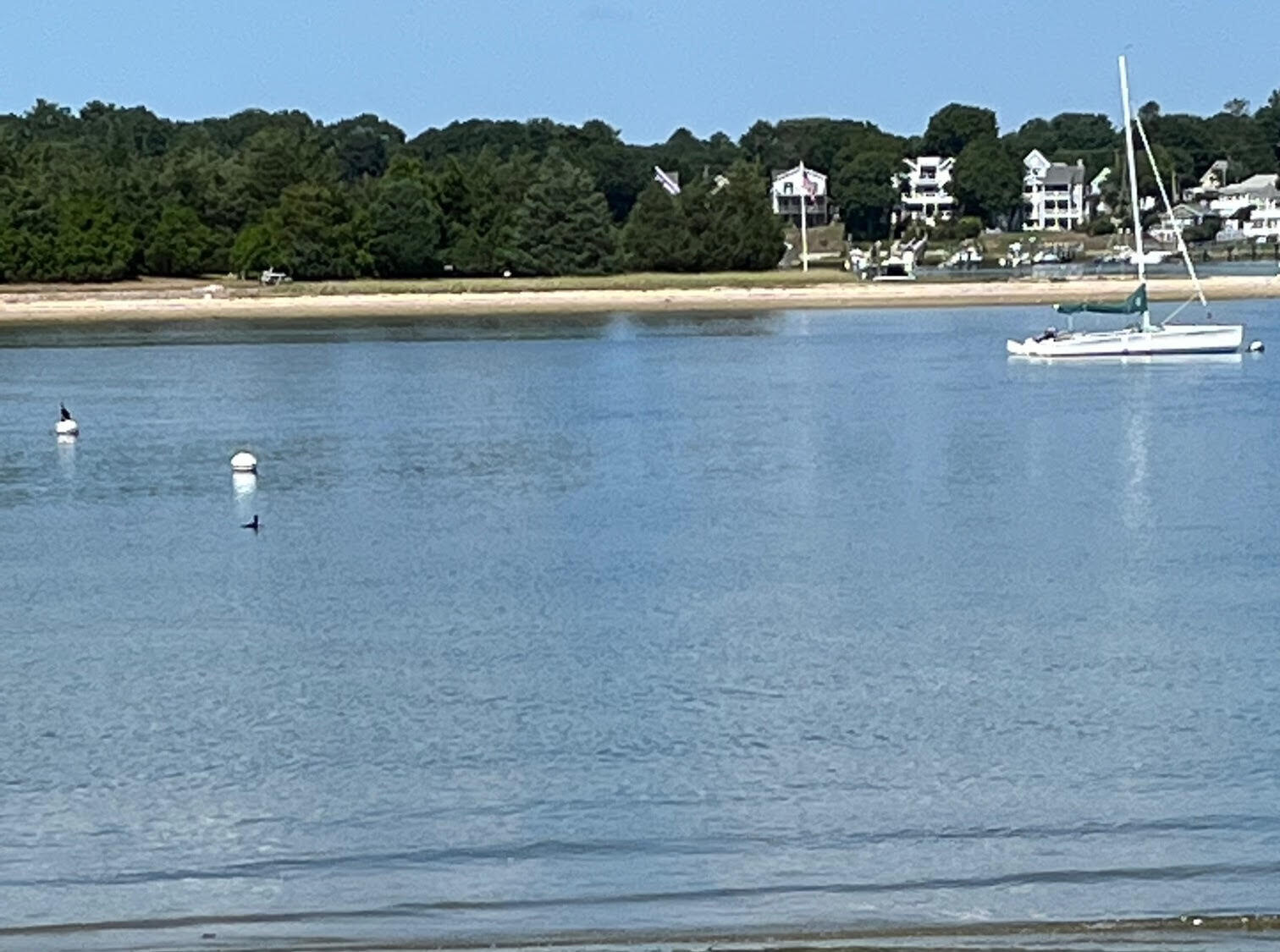 46 Holt Road Buzzards Bay, MA 02532 - Photo 12 of 18 BBAY water access