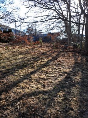 46 Holt Road Buzzards Bay, MA 02532 - Photo 18 of 18 46Holt Yard 2