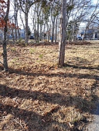 46 Holt Road Buzzards Bay, MA 02532 - Photo 2 of 18 46Holt Yard 3