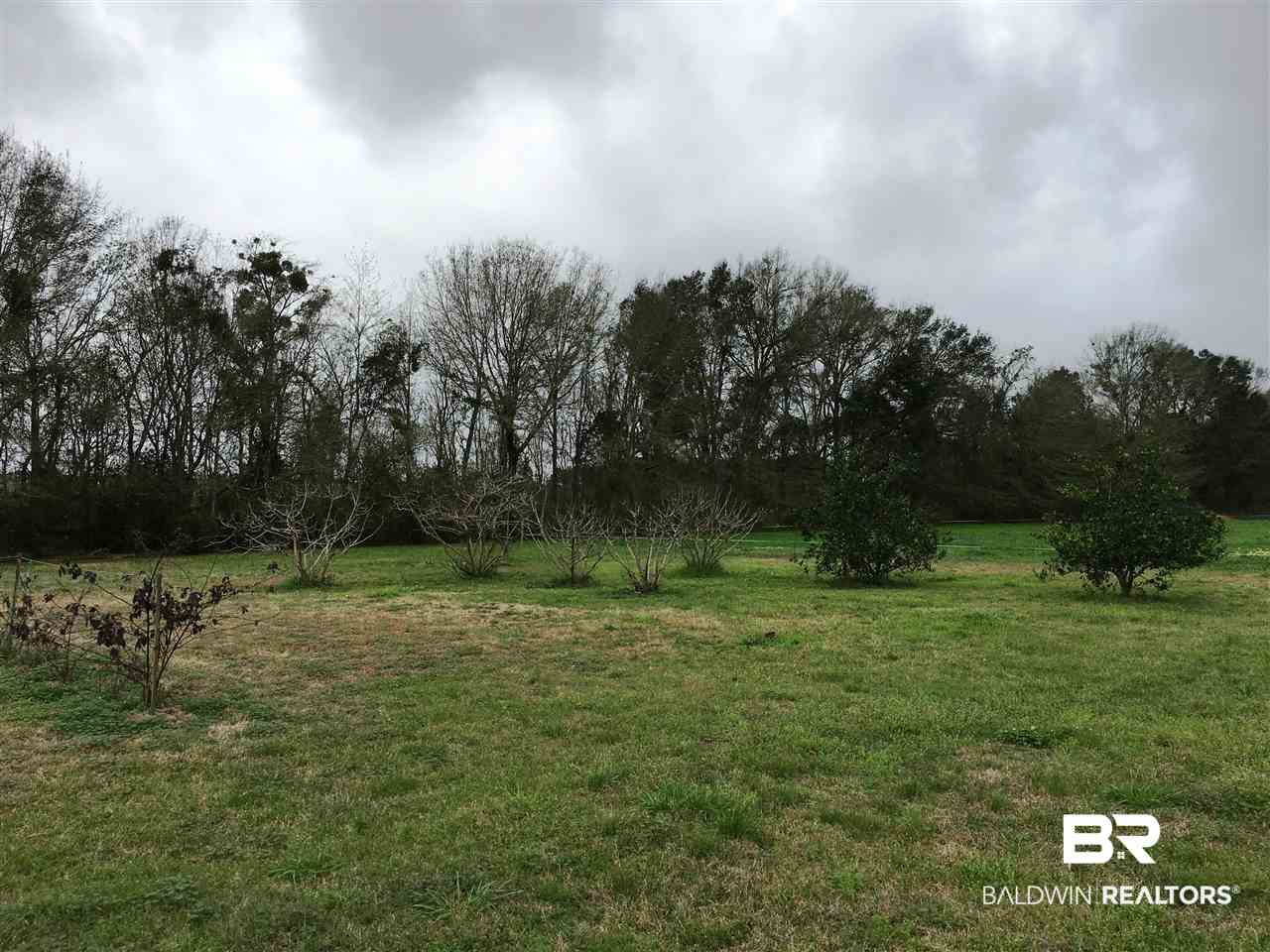 24783 Rawls Road Loxley, AL 36551 - Photo 48 of 50 Fruit Trees