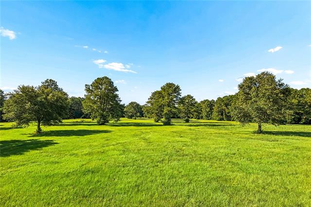 21258 Wallace King Road Bush, LA 70431 - Photo 16 of 17 Gallery Image 16