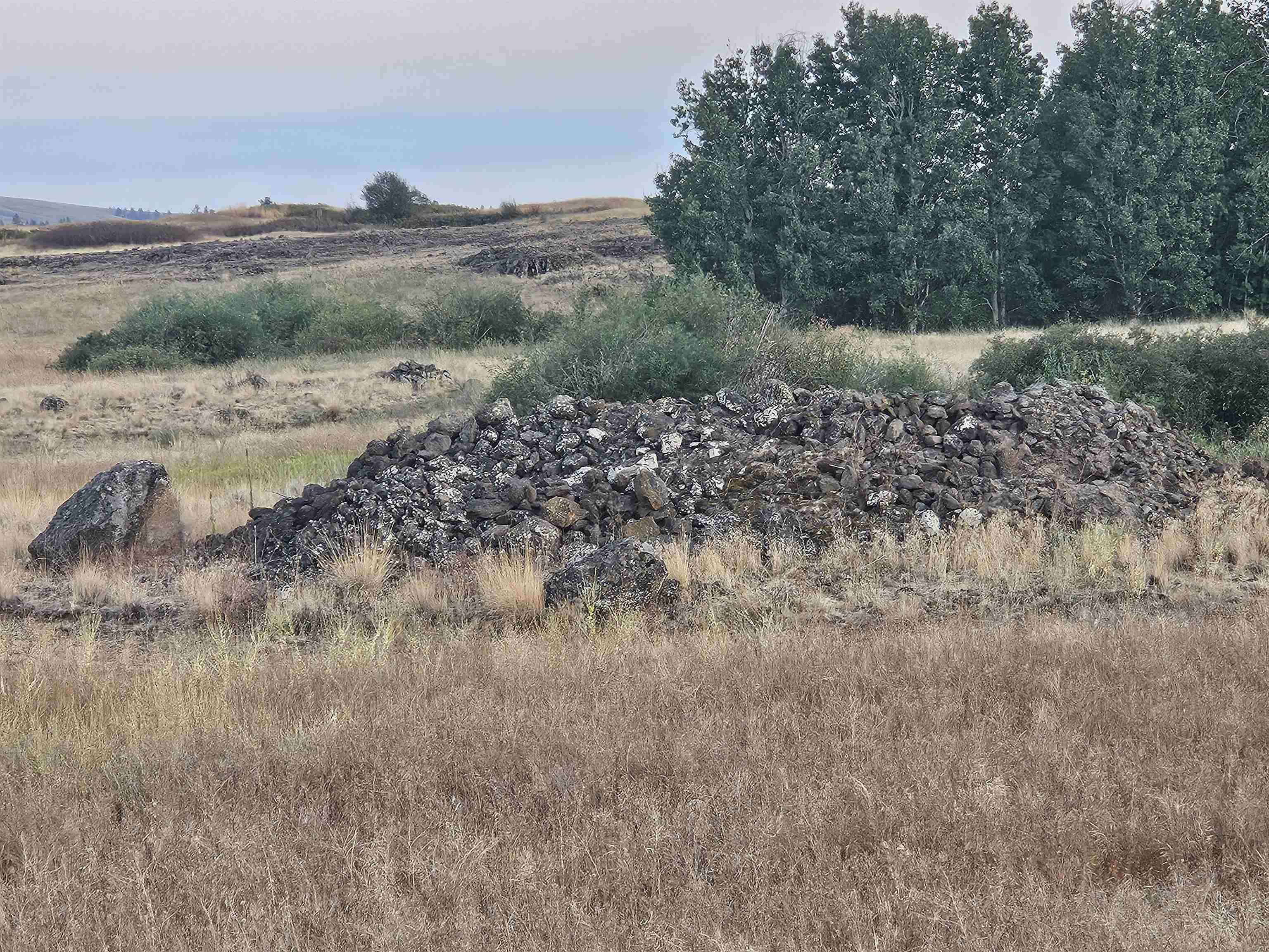 26210 West Hallett Road Medical Lake, WA 99022 - Photo 13 of 17