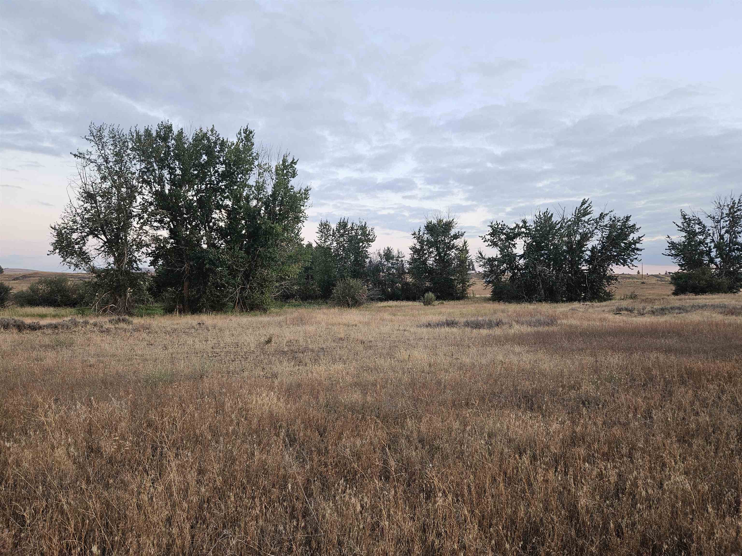 26210 West Hallett Road Medical Lake, WA 99022 - Photo 14 of 17