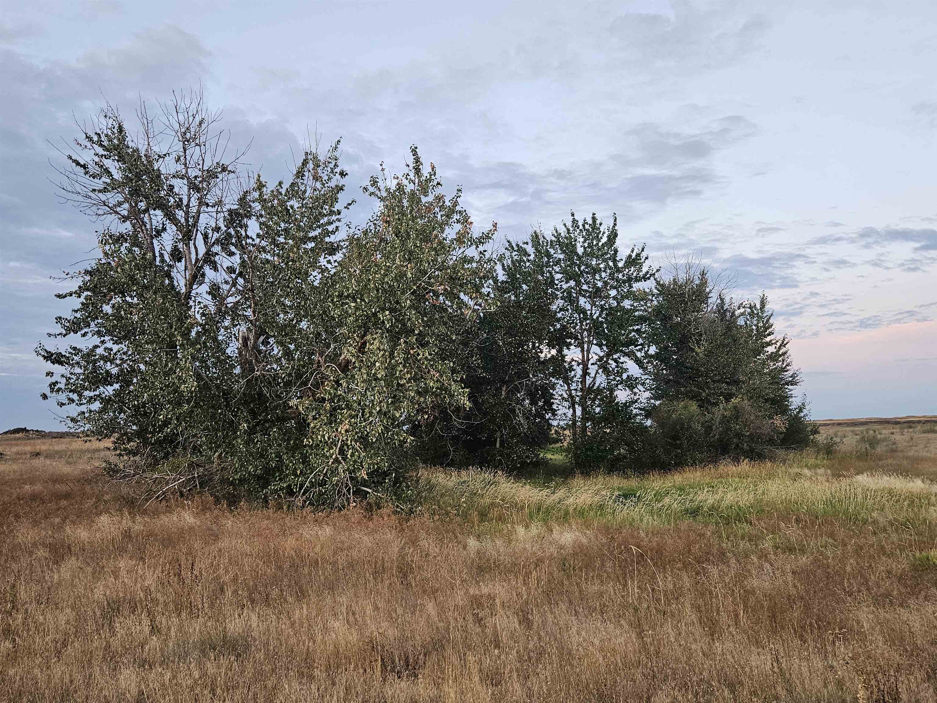 26210 West Hallett Road Medical Lake, WA 99022 - Photo 15 of 17