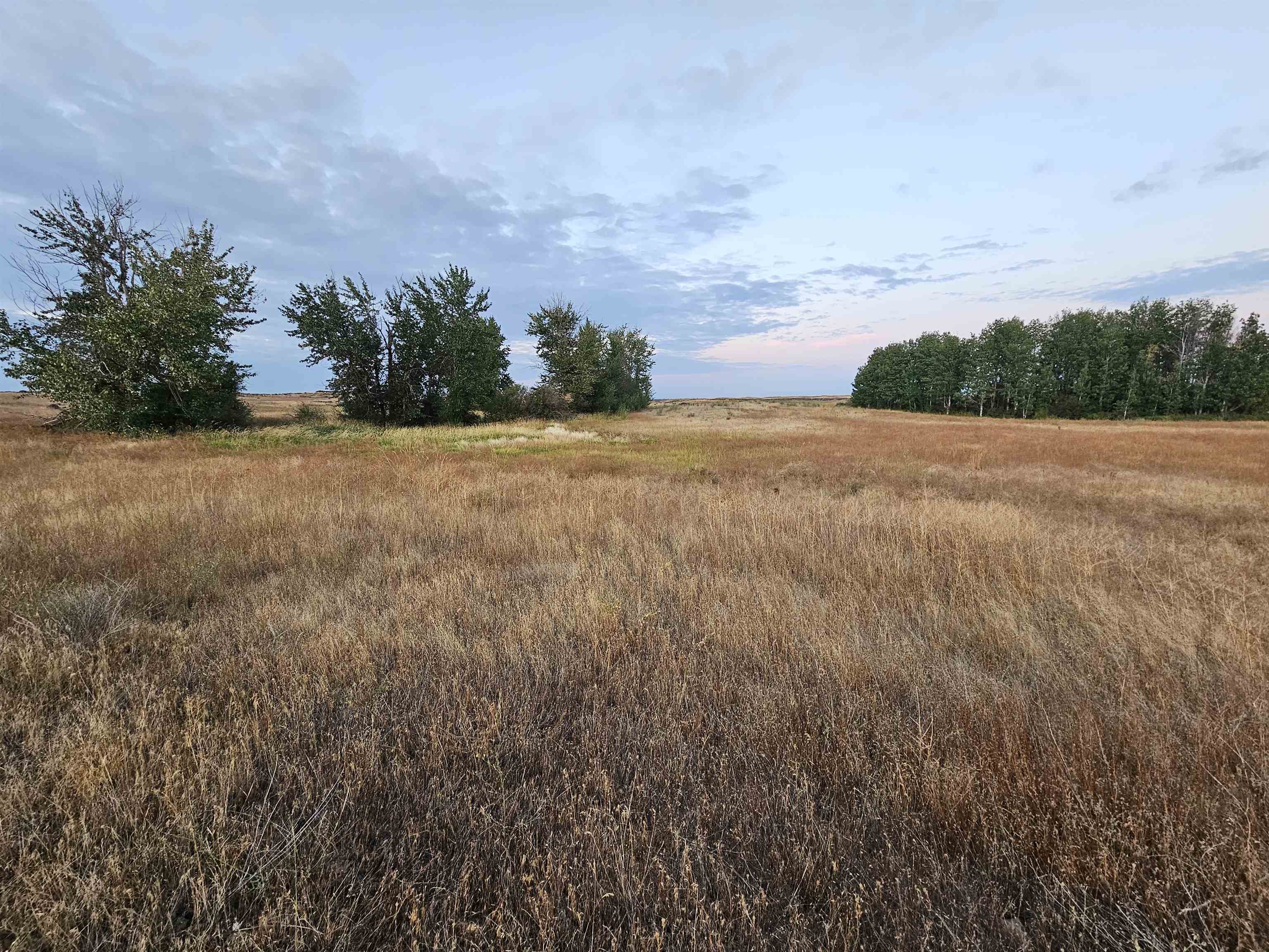 26210 West Hallett Road Medical Lake, WA 99022 - Photo 16 of 17