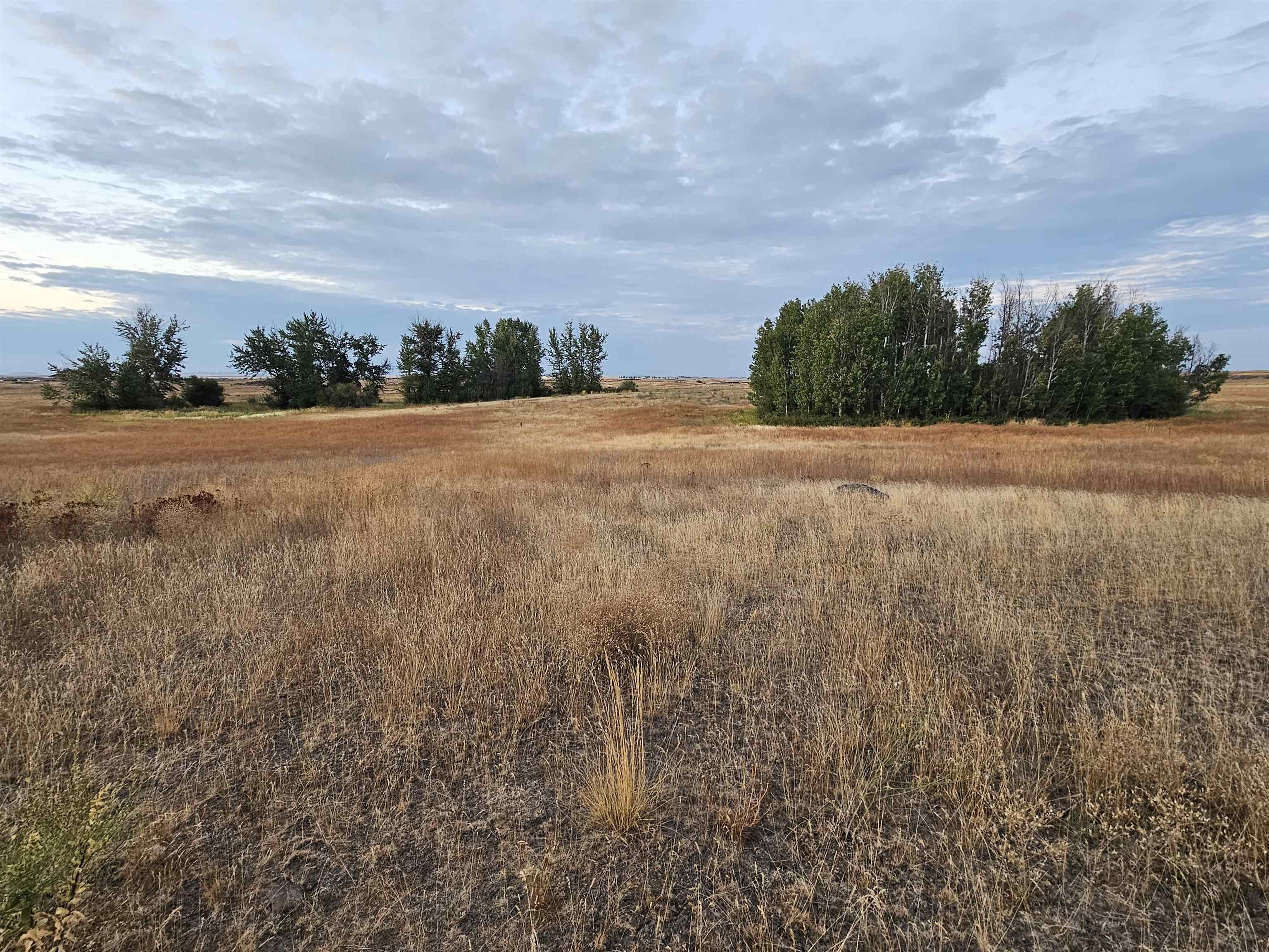 26210 West Hallett Road Medical Lake, WA 99022 - Photo 17 of 17