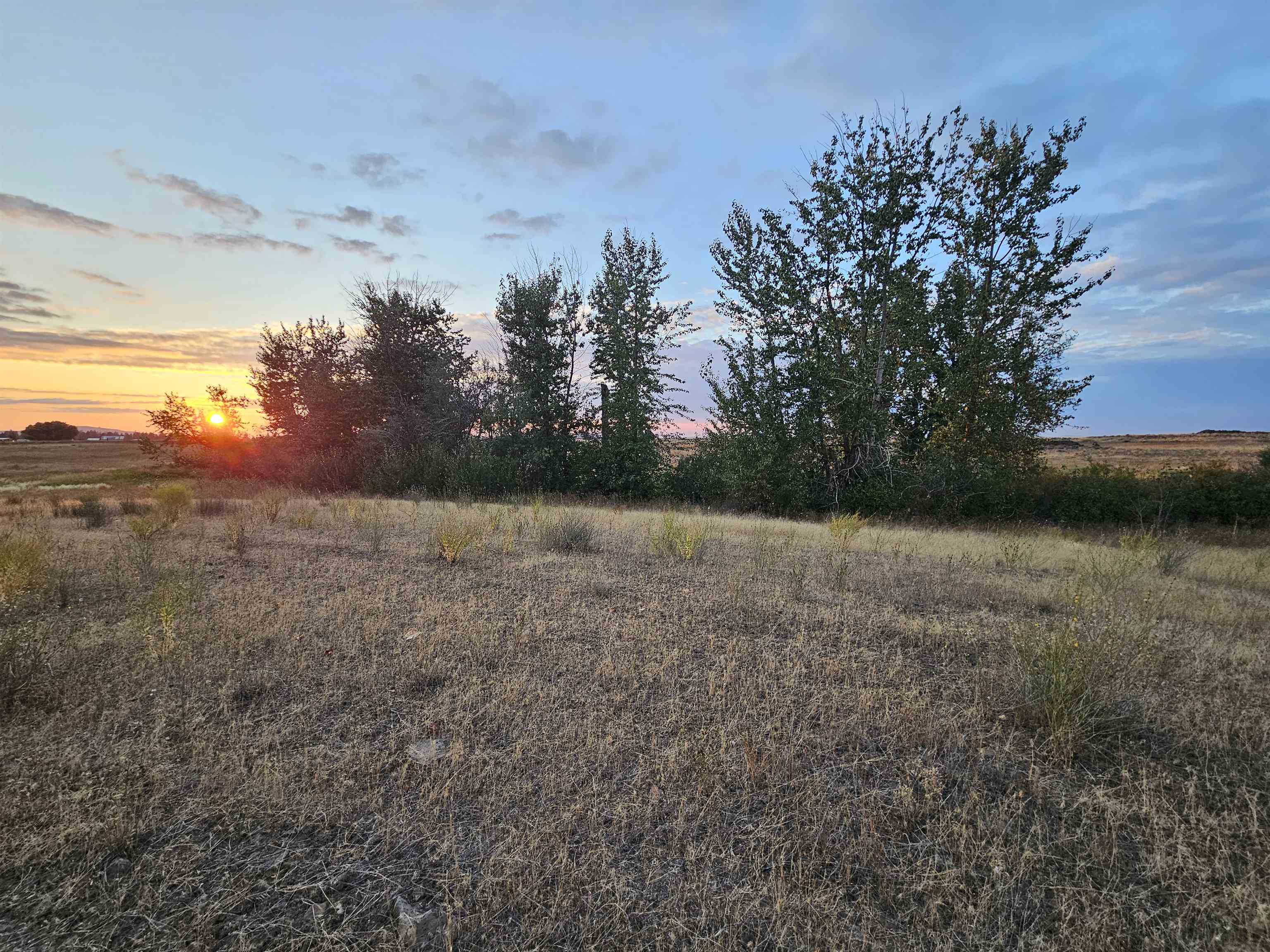 26210 West Hallett Road Medical Lake, WA 99022 - Photo 9 of 17