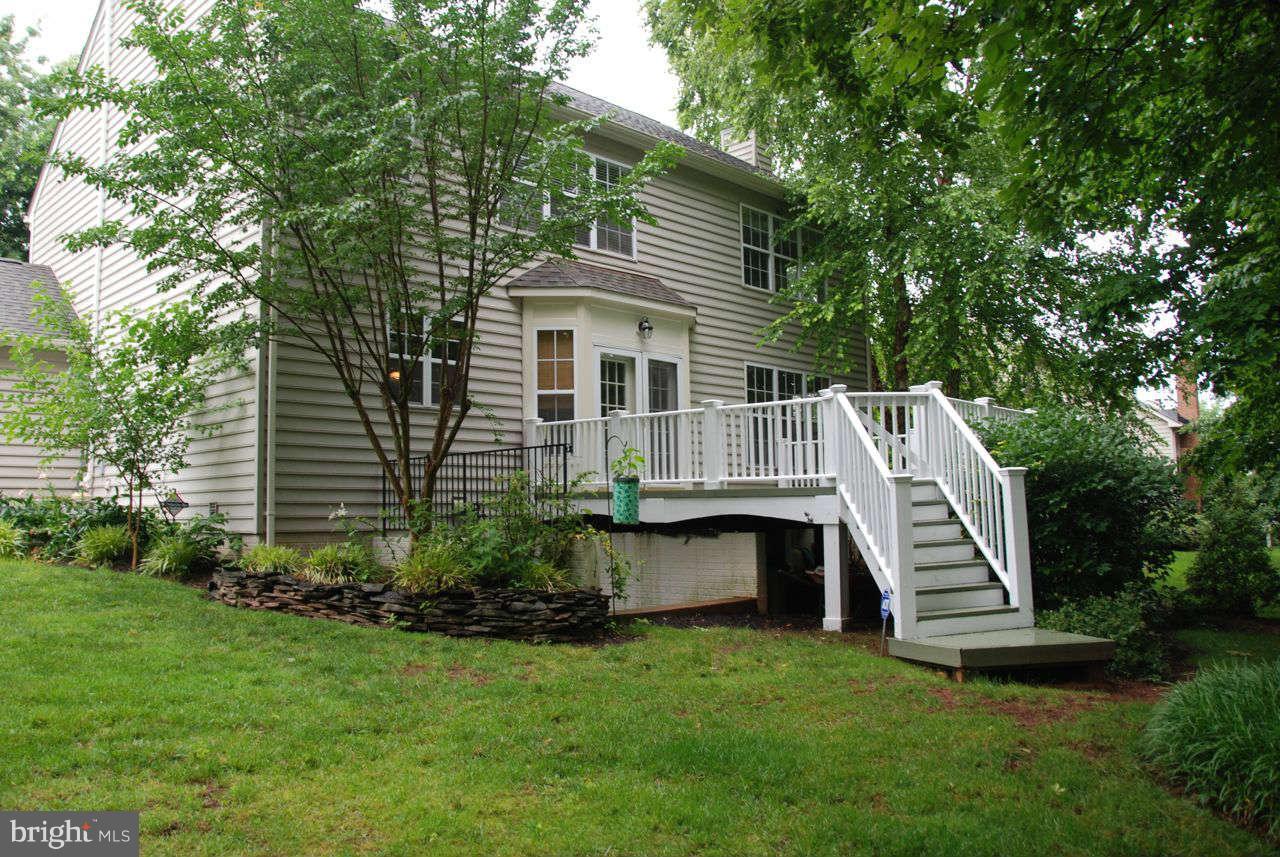 Exterior (Rear)