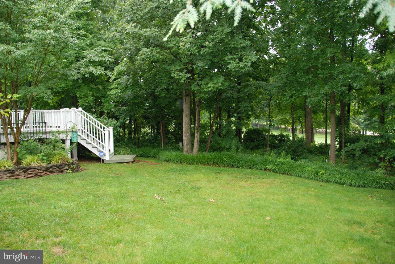 14249 Clubhouse Road Gainesville, VA 20155 - Photo 10 of 21 Exterior (Rear)