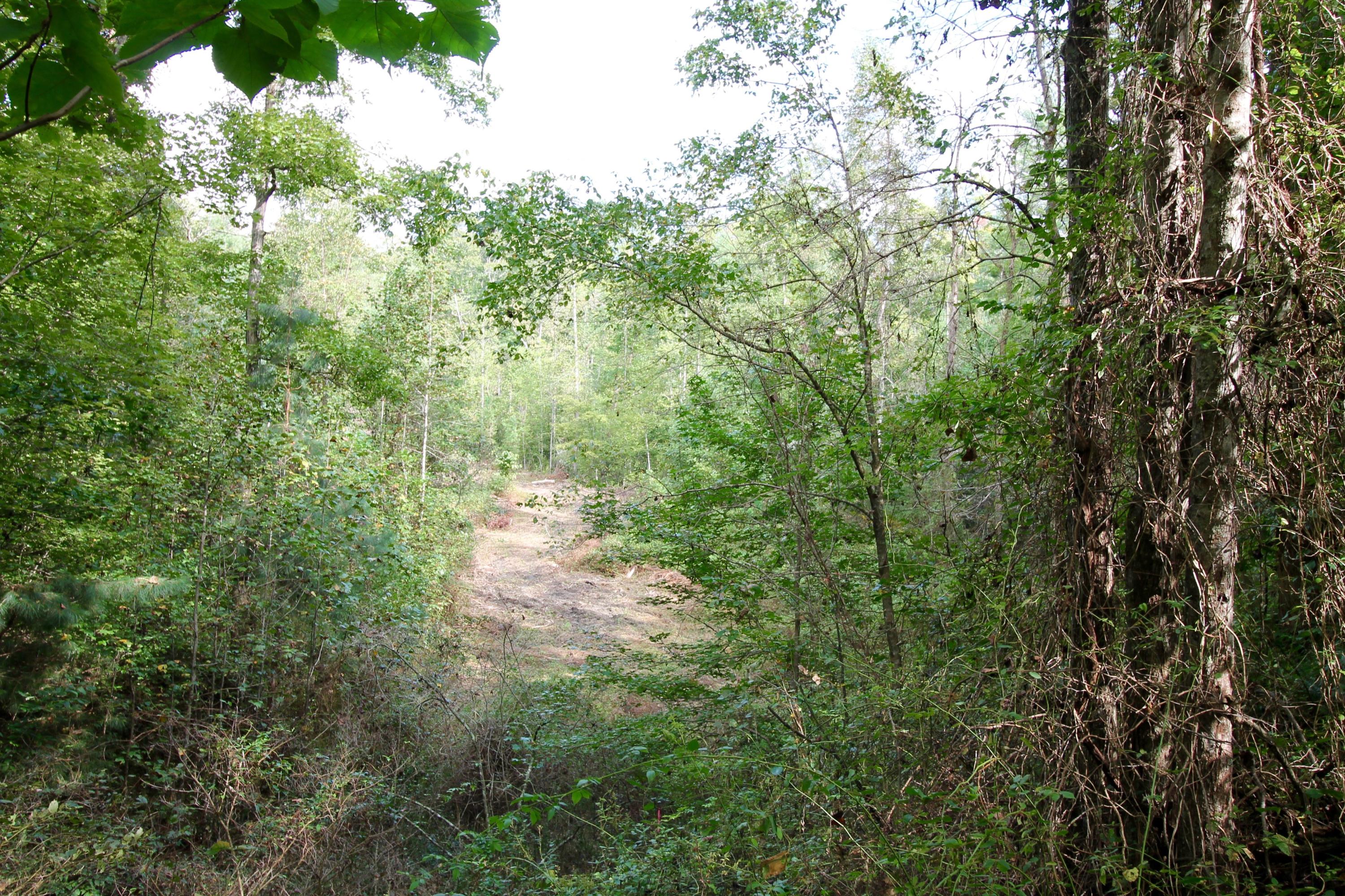 Rainbow Road Lancing, TN 37770 - Photo 12 of 40 12