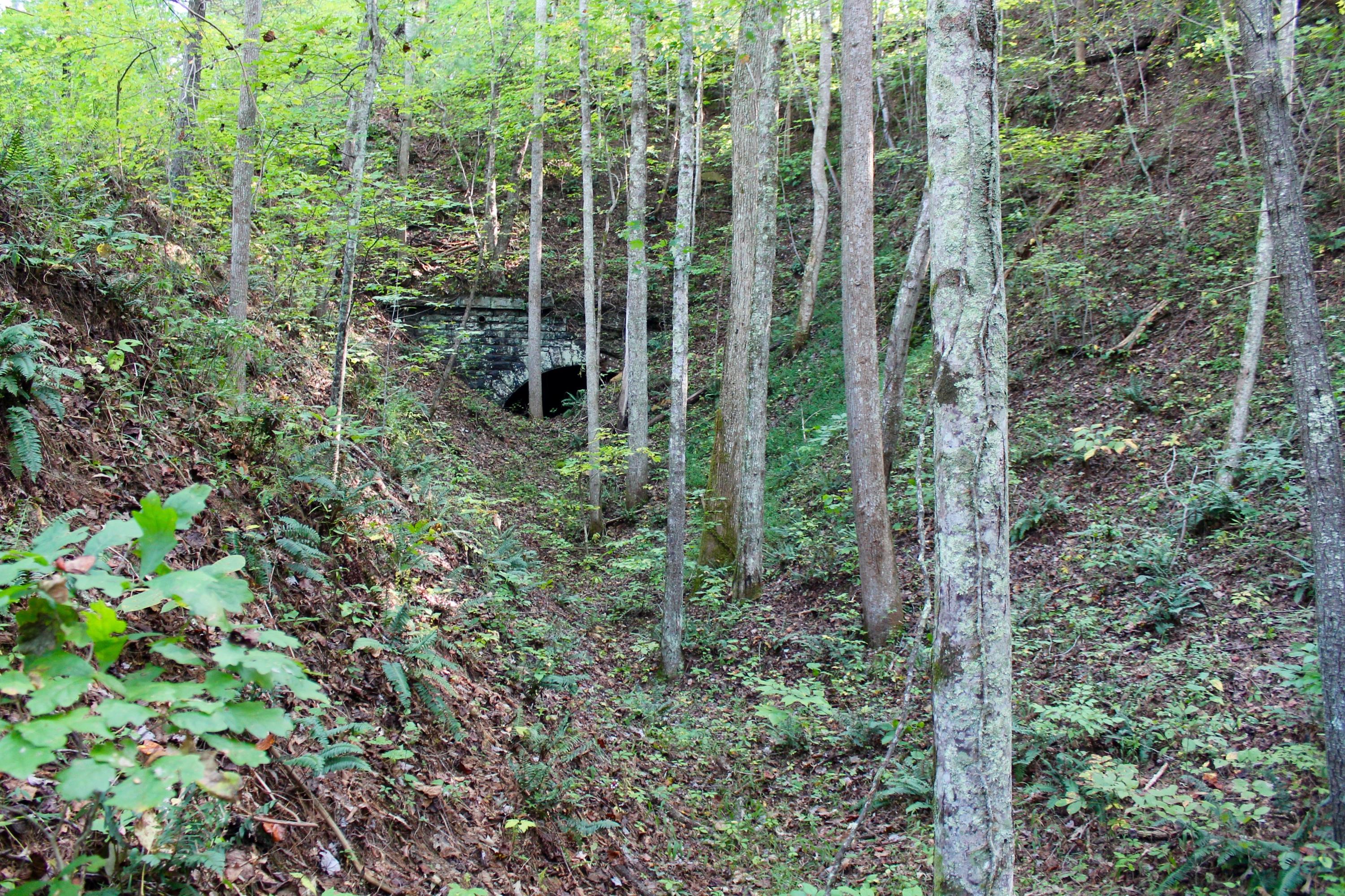 Rainbow Road Lancing, TN 37770 - Photo 14 of 40 14