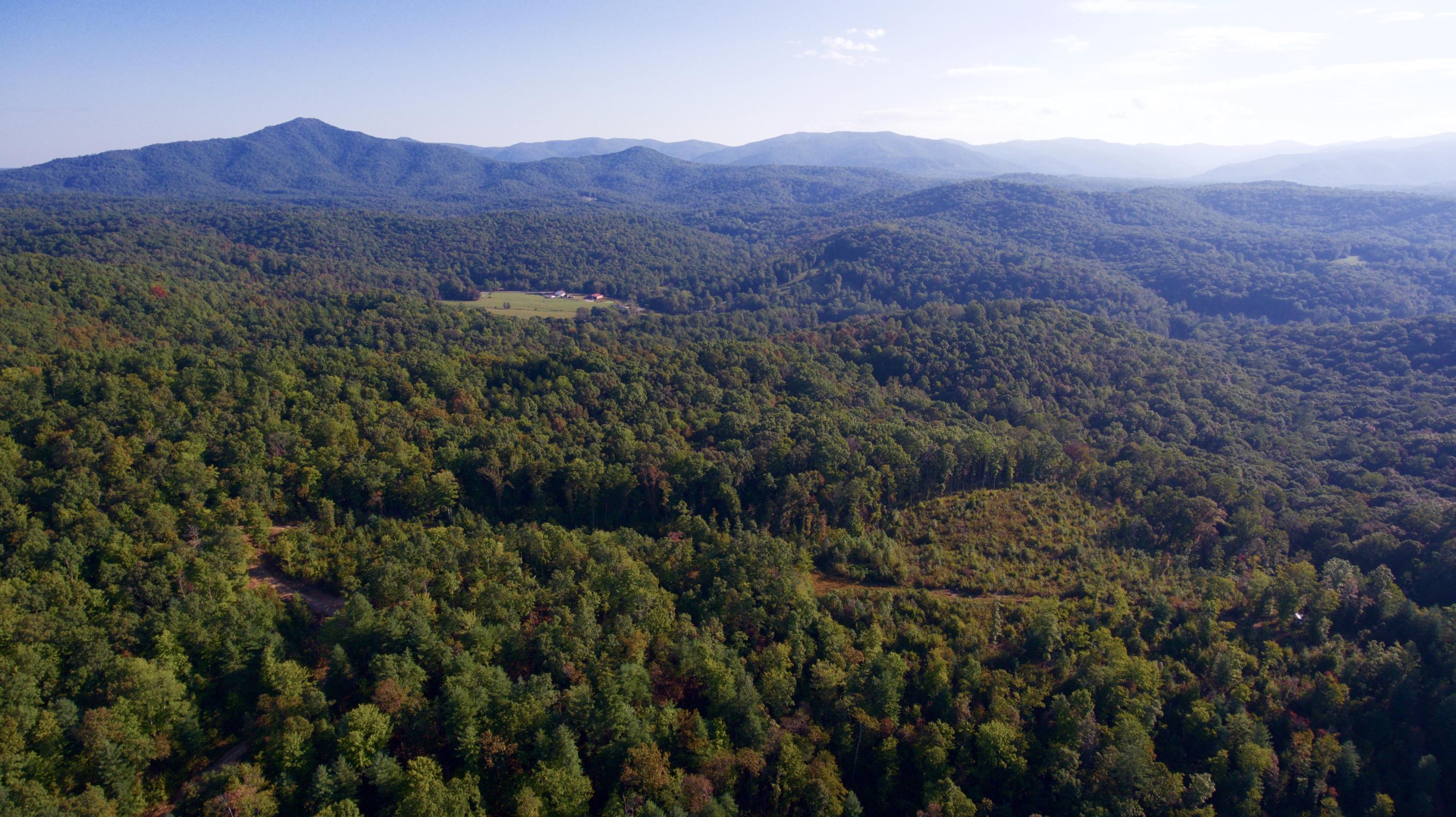 Rainbow Road Lancing, TN 37770 - Photo 3 of 40 3