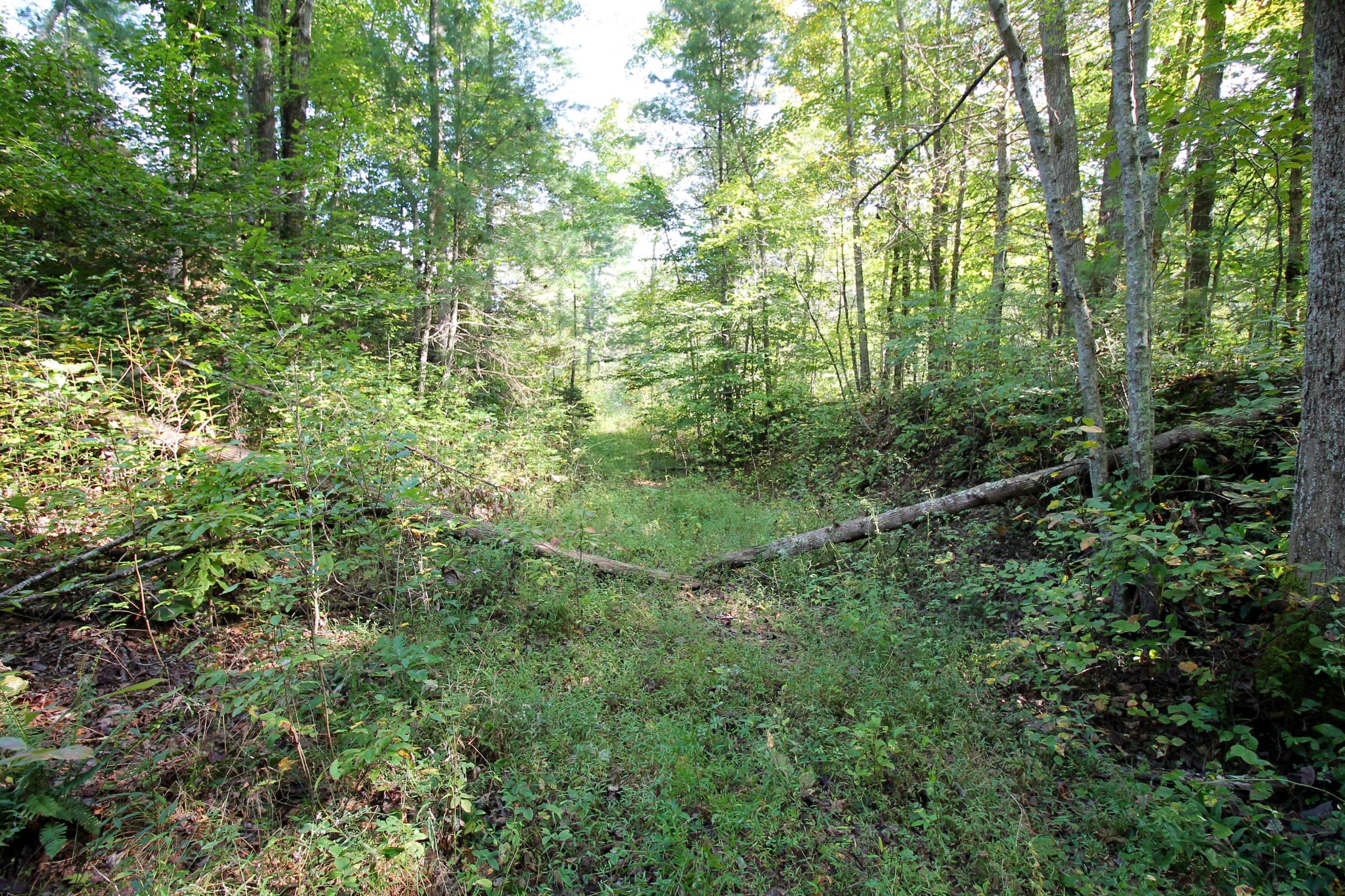 Rainbow Road Lancing, TN 37770 - Photo 21 of 40 21