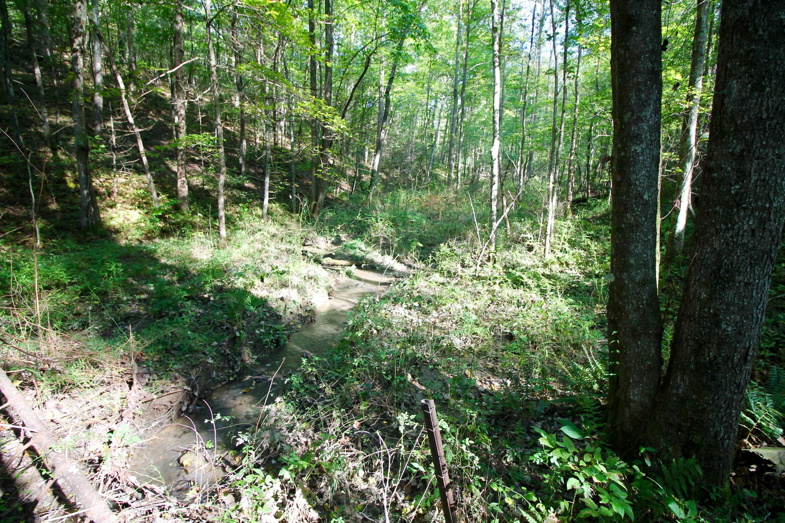 Rainbow Road Lancing, TN 37770 - Photo 23 of 40 23