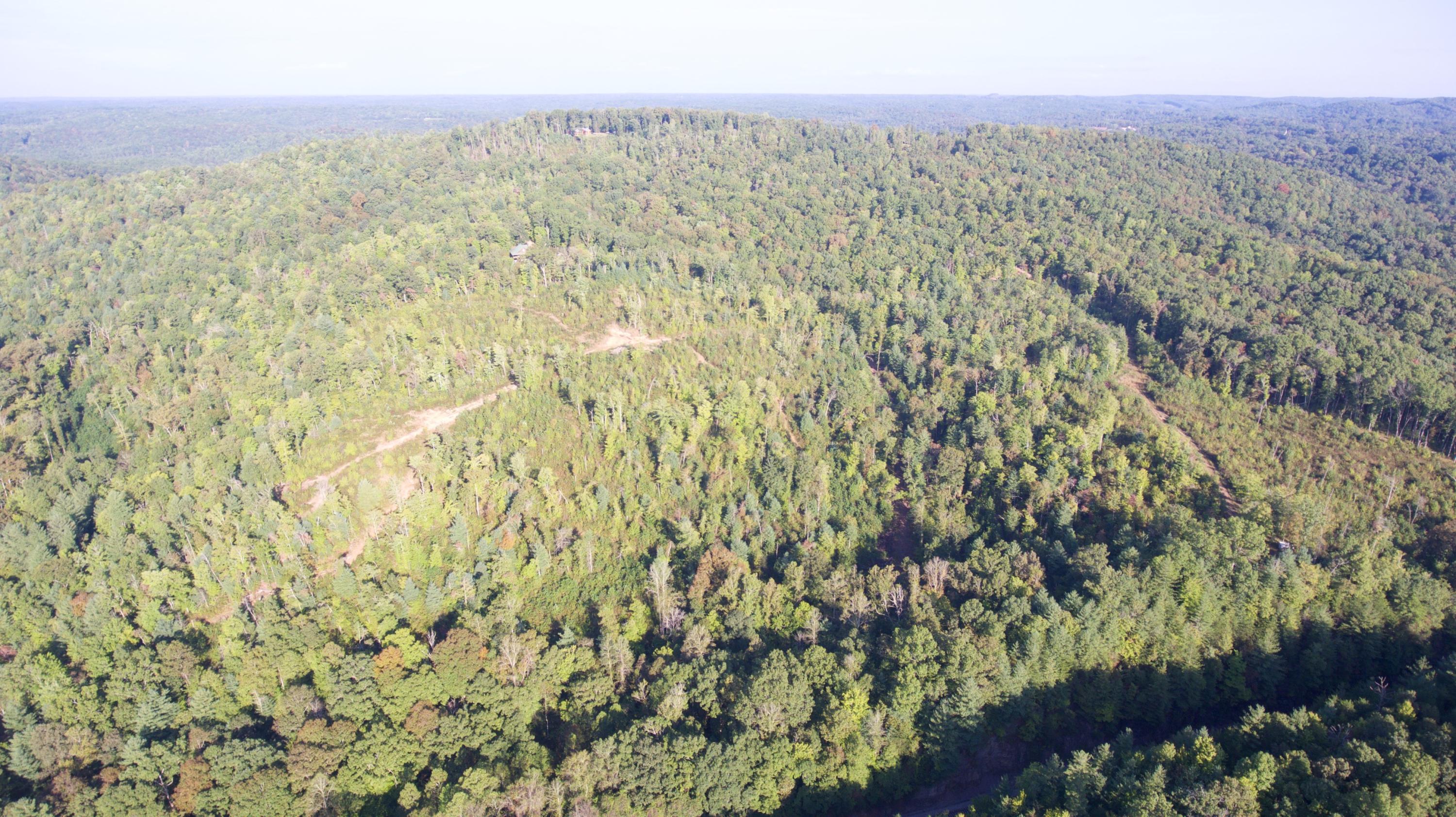 Rainbow Road Lancing, TN 37770 - Photo 26 of 40 DJI_0056