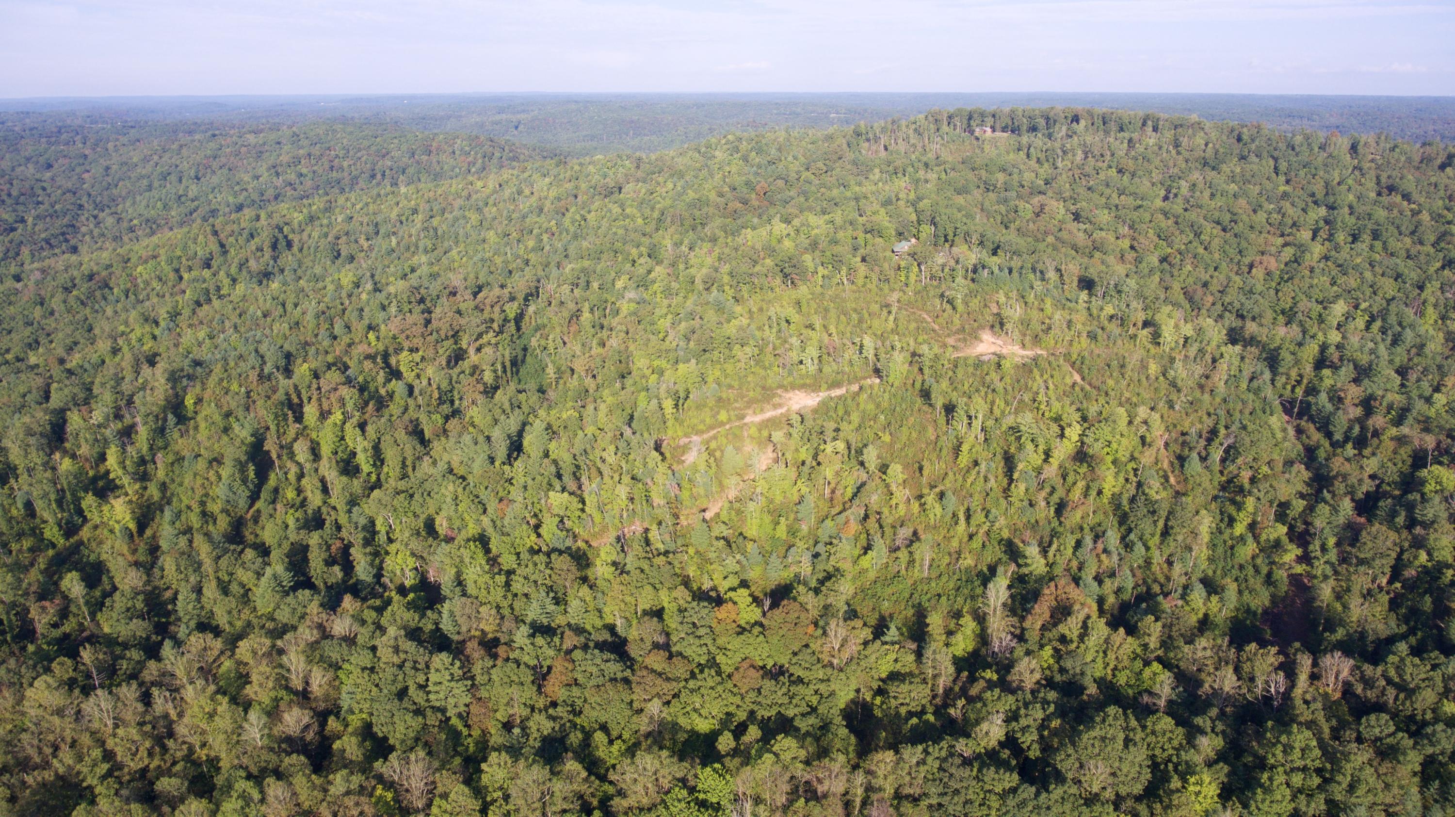 Rainbow Road Lancing, TN 37770 - Photo 27 of 40 DJI_0057