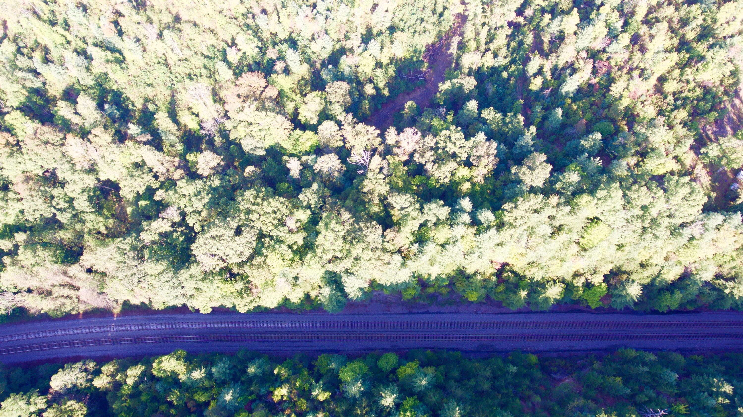 Rainbow Road Lancing, TN 37770 - Photo 28 of 40 DJI_0059