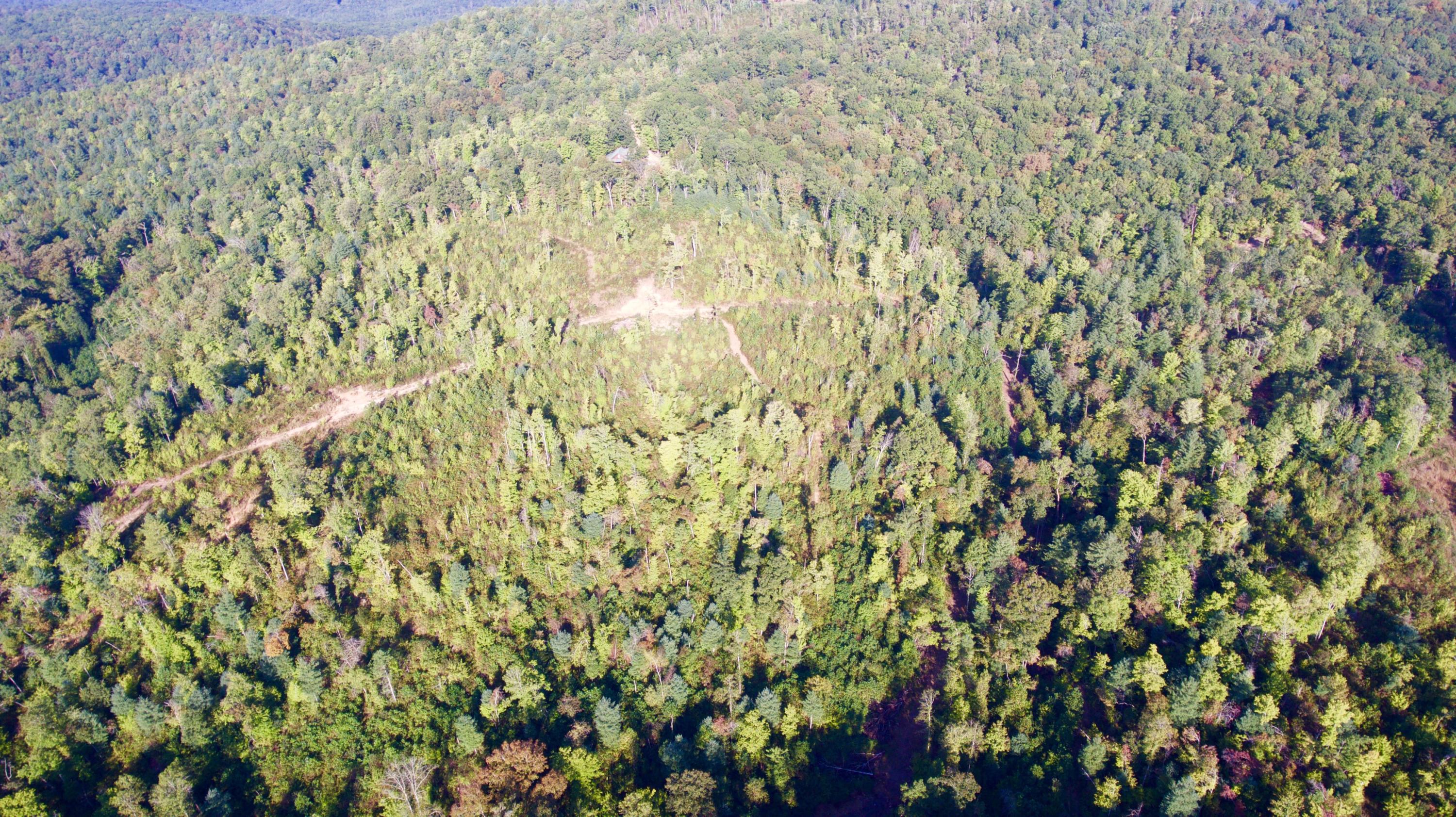 Rainbow Road Lancing, TN 37770 - Photo 29 of 40 DJI_0062