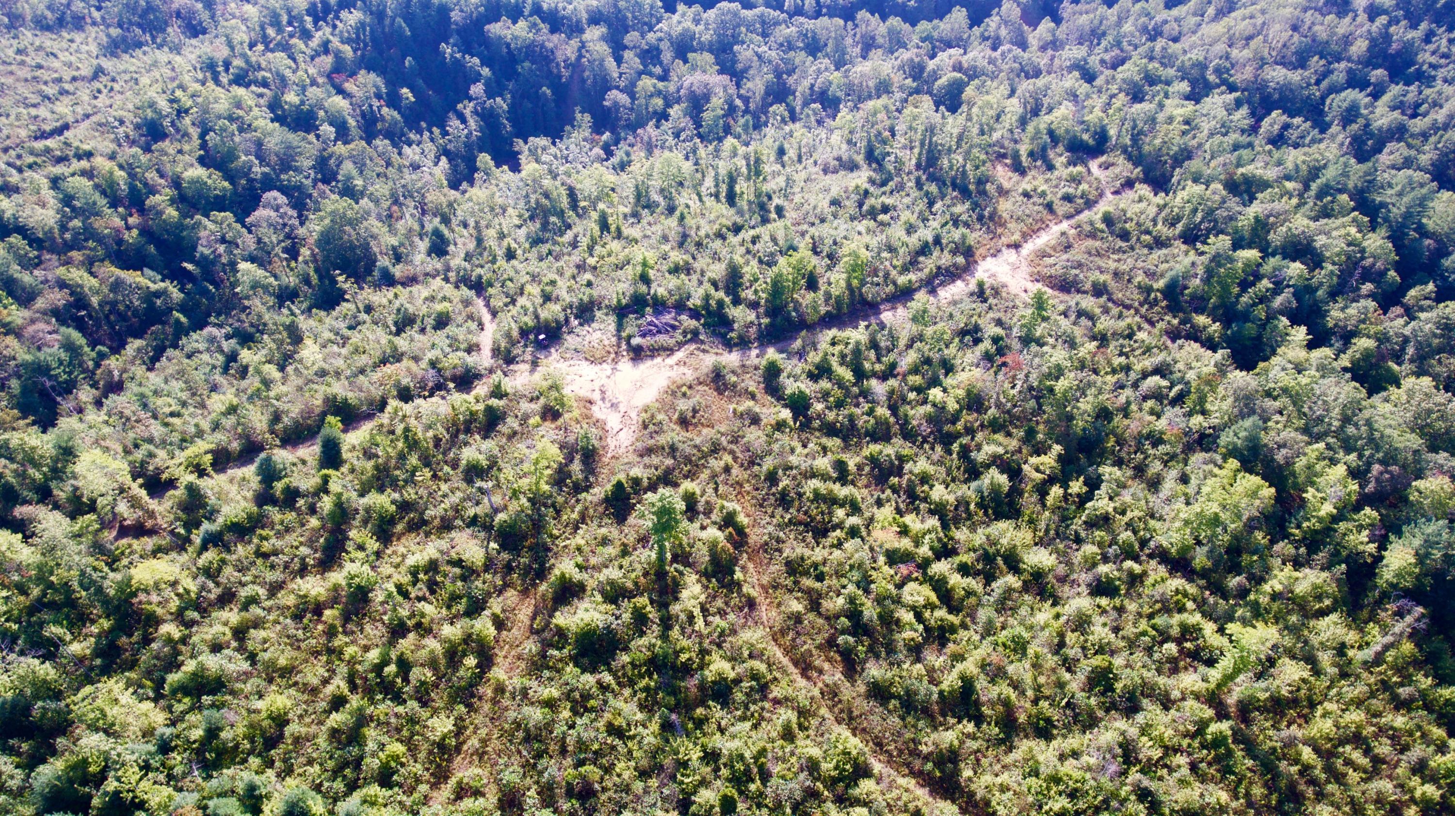 Rainbow Road Lancing, TN 37770 - Photo 30 of 40 DJI_0065