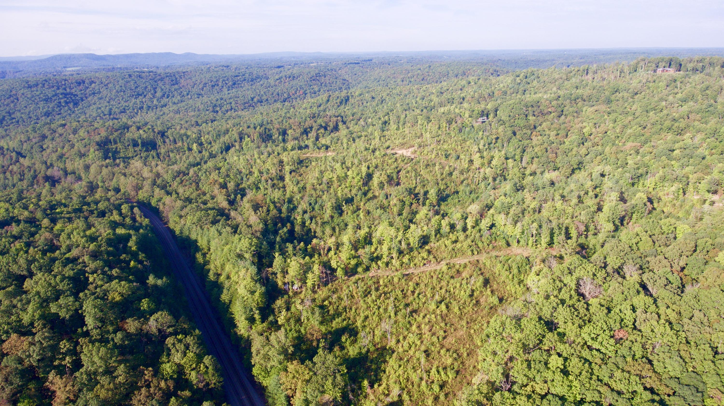 Rainbow Road Lancing, TN 37770 - Photo 4 of 40 4