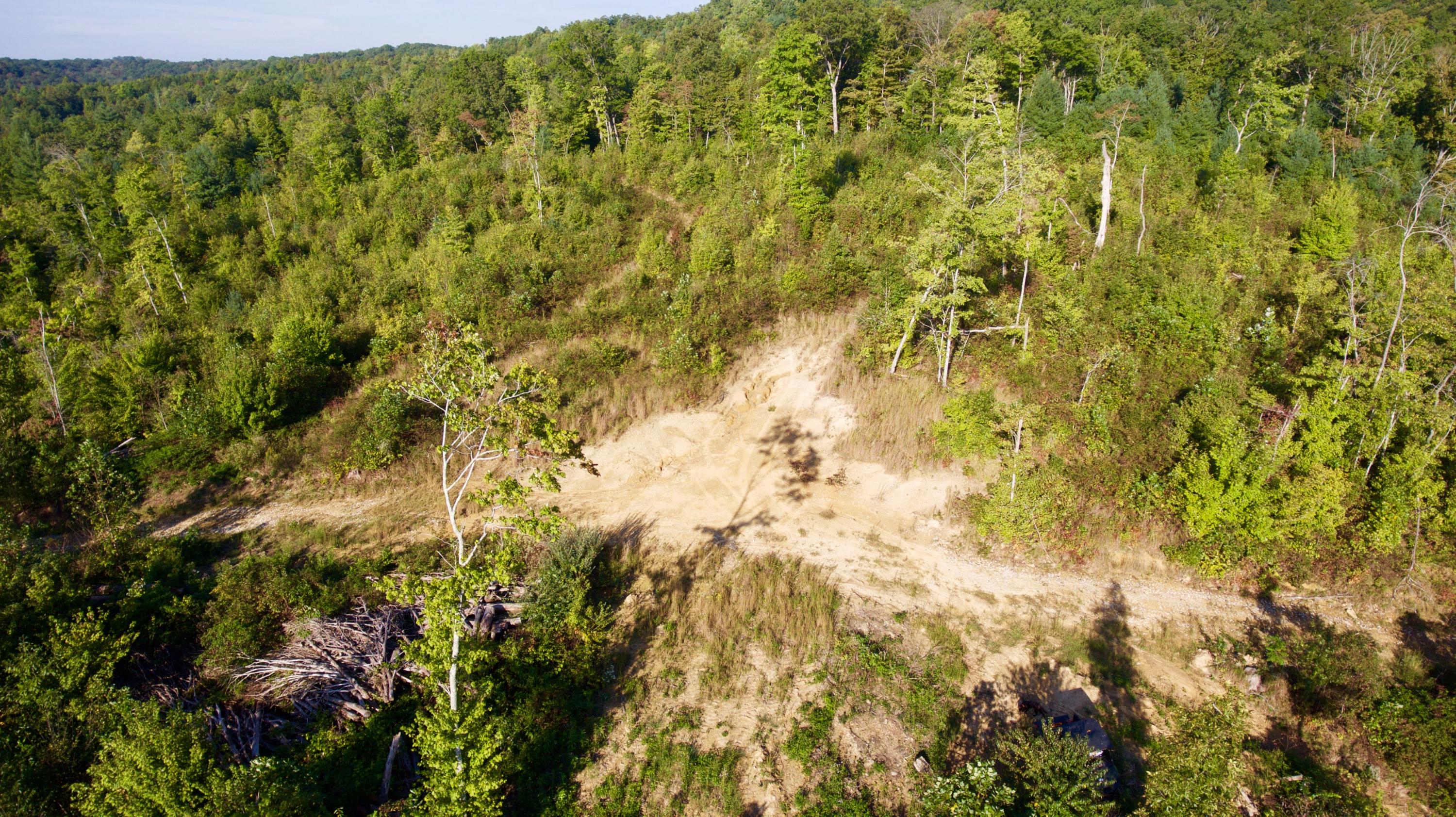Rainbow Road Lancing, TN 37770 - Photo 31 of 40 DJI_0072