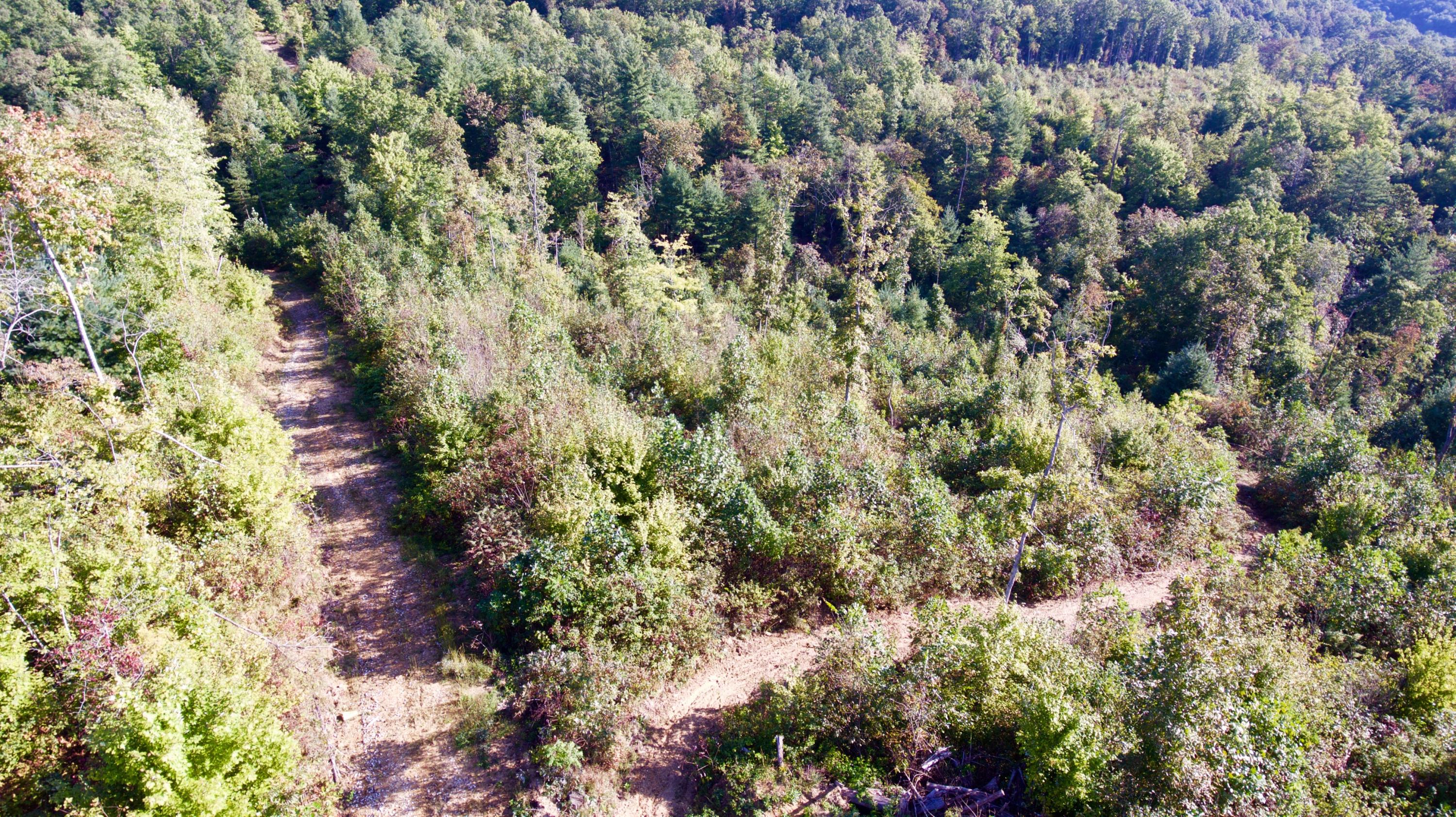 Rainbow Road Lancing, TN 37770 - Photo 32 of 40 DJI_0077