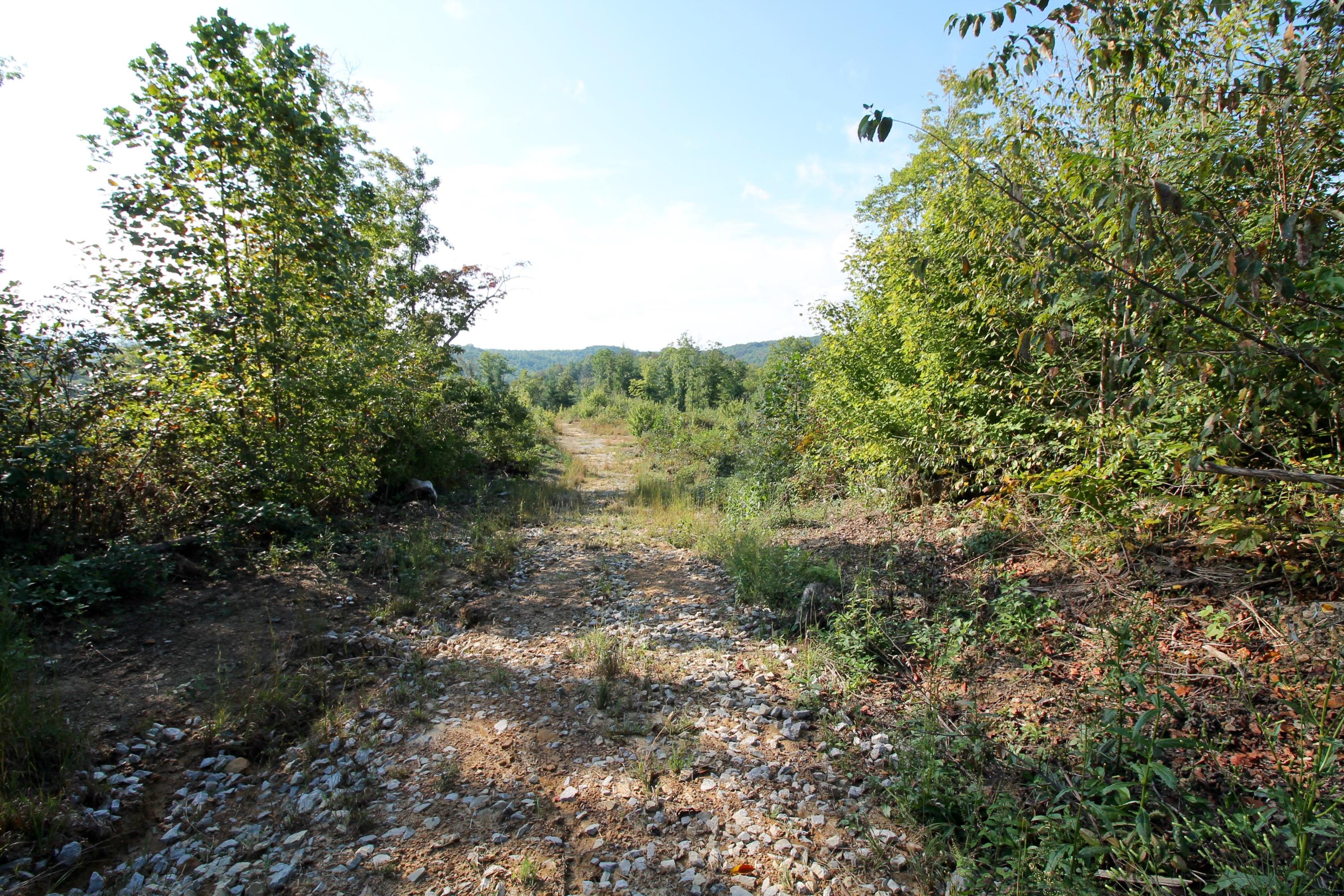 Rainbow Road Lancing, TN 37770 - Photo 33 of 40 IMG_5132