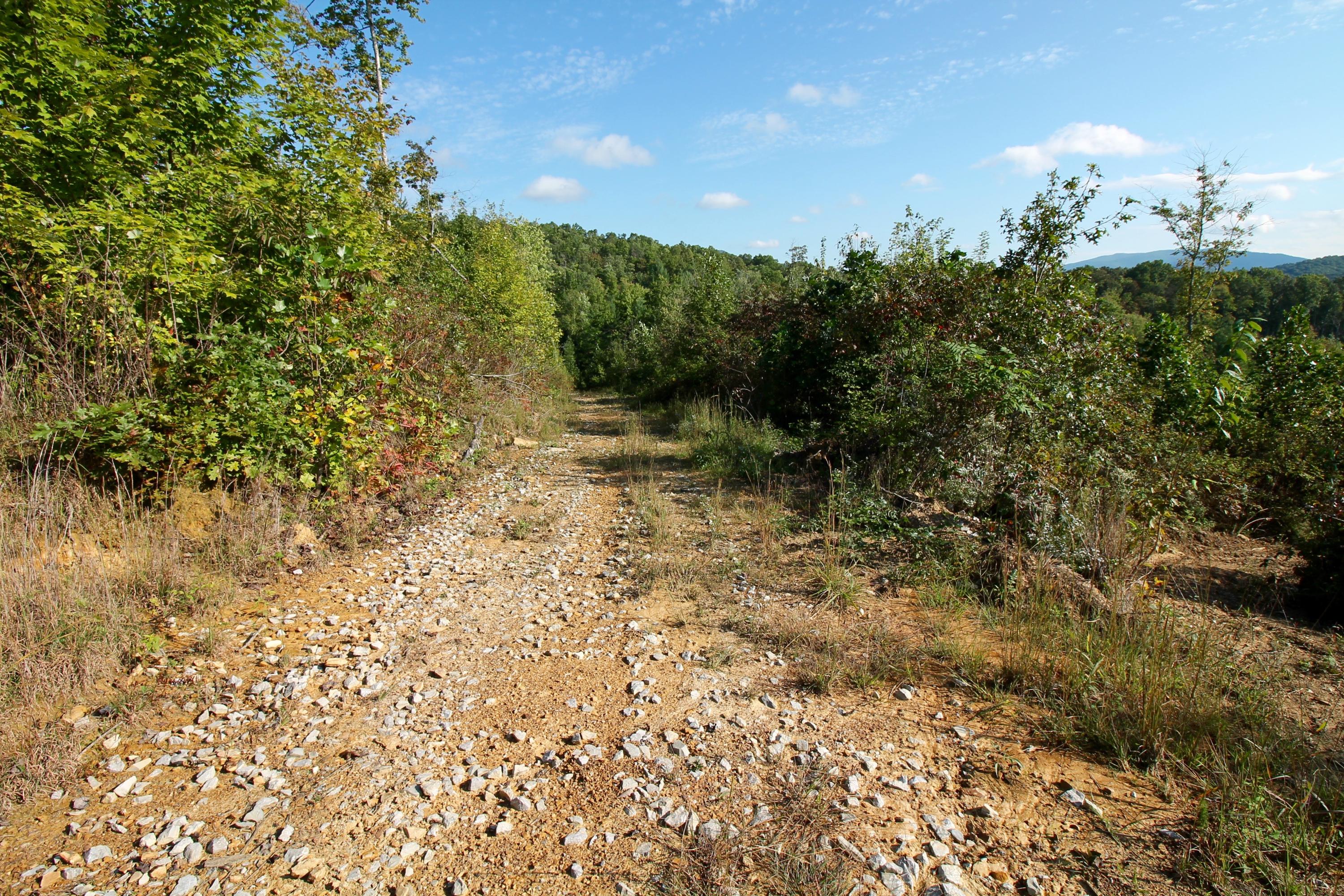 Rainbow Road Lancing, TN 37770 - Photo 34 of 40 IMG_5137