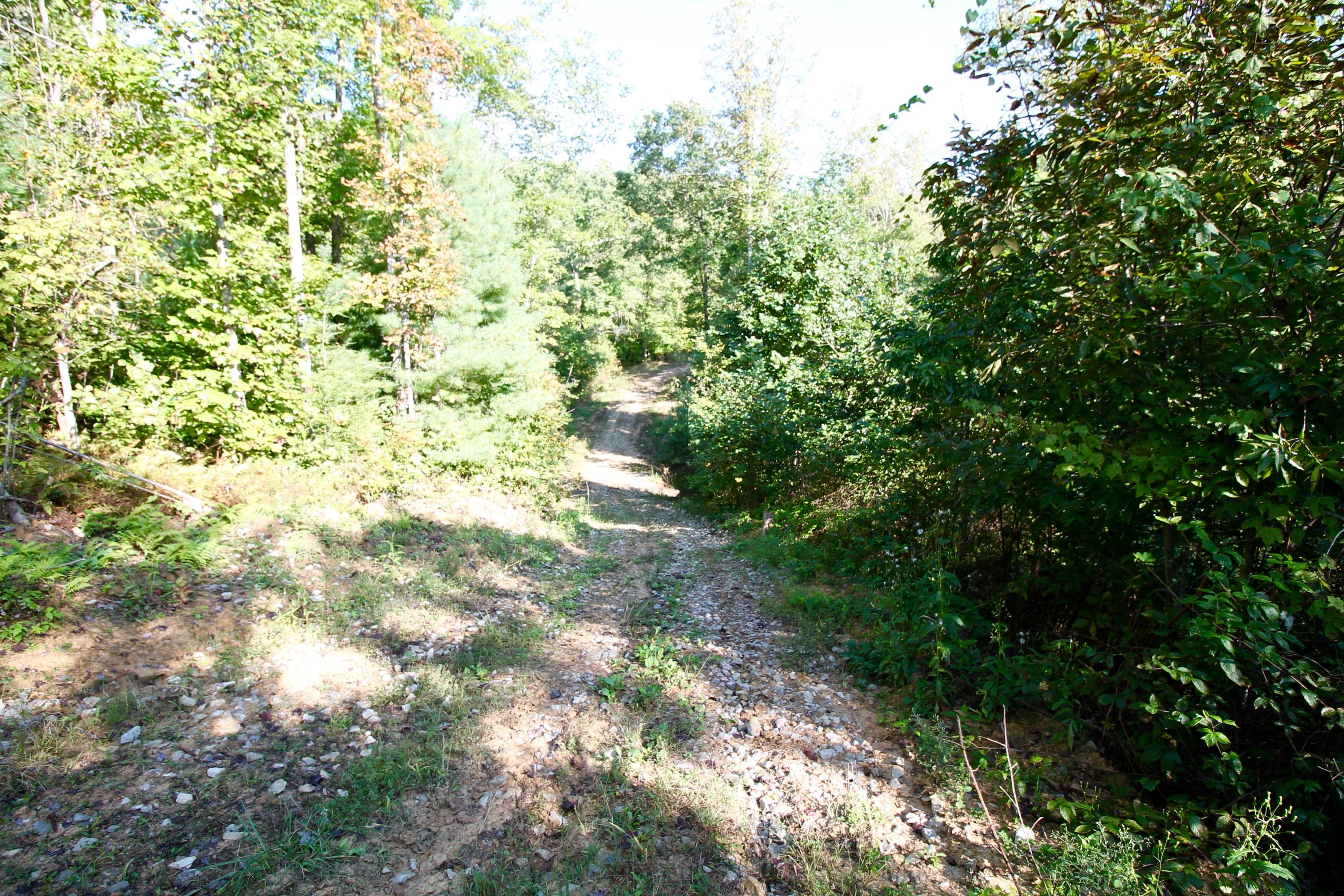 Rainbow Road Lancing, TN 37770 - Photo 35 of 40 IMG_5139