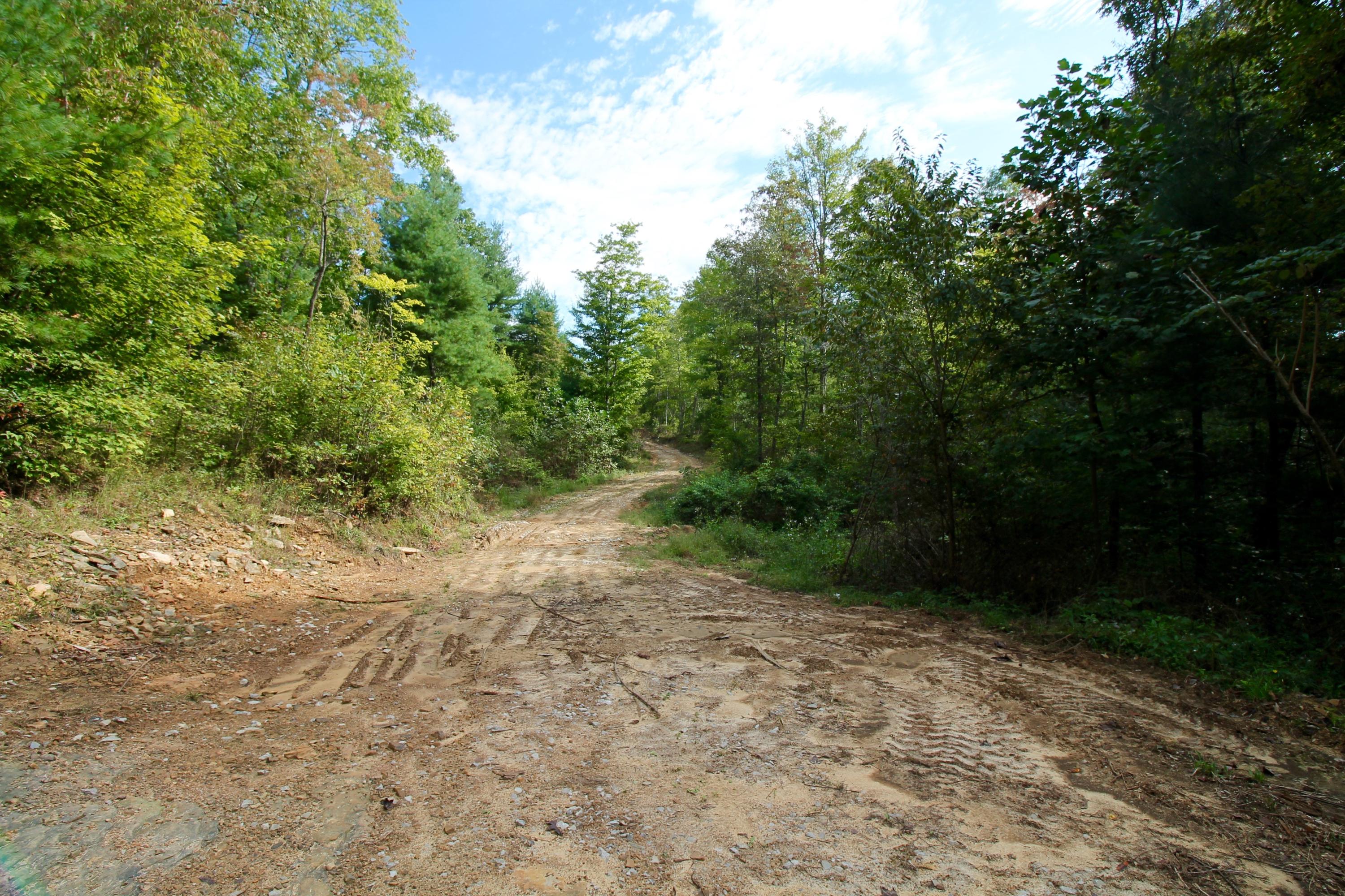 Rainbow Road Lancing, TN 37770 - Photo 37 of 40 IMG_5191