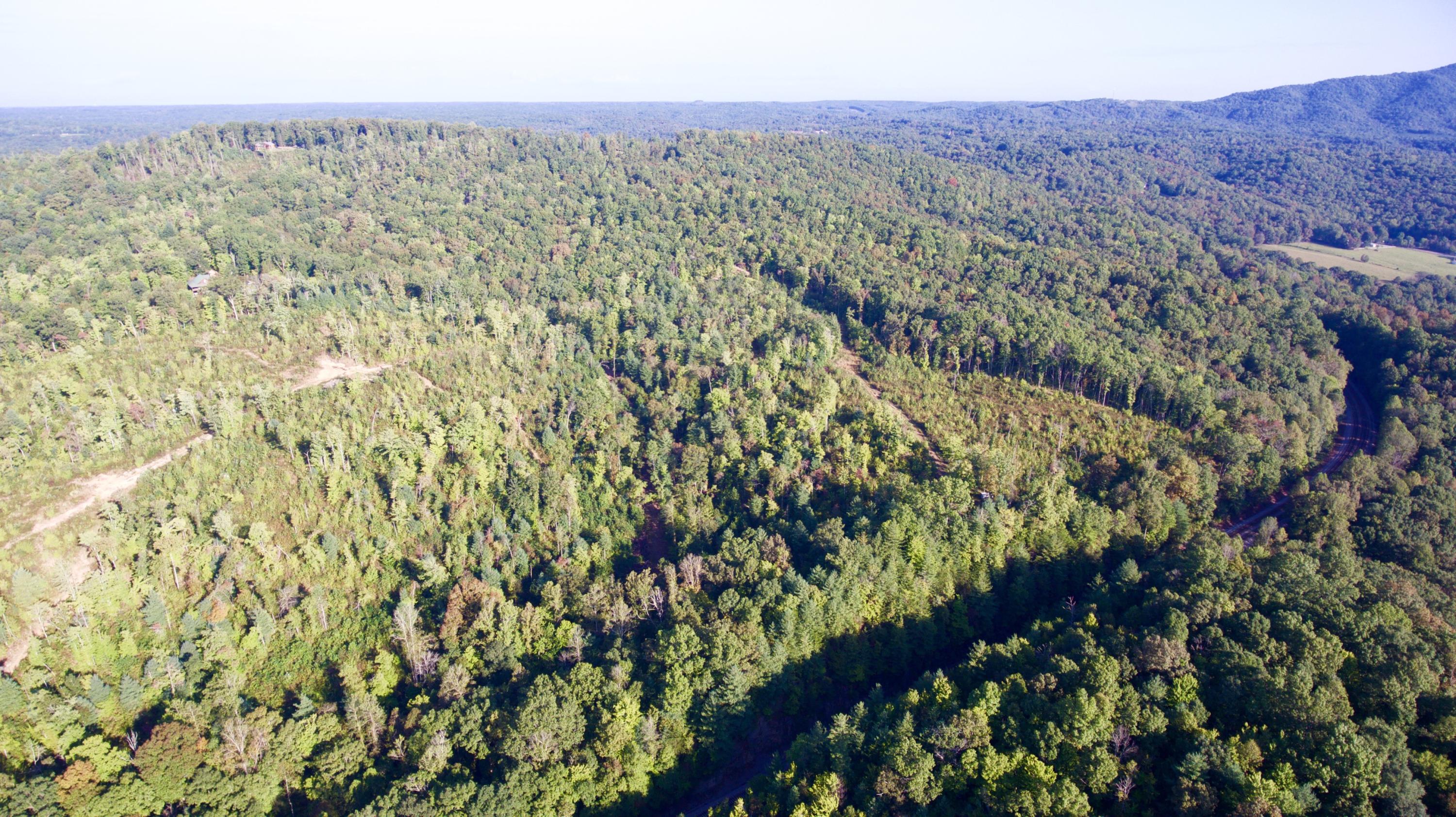 Rainbow Road Lancing, TN 37770 - Photo 5 of 40 5