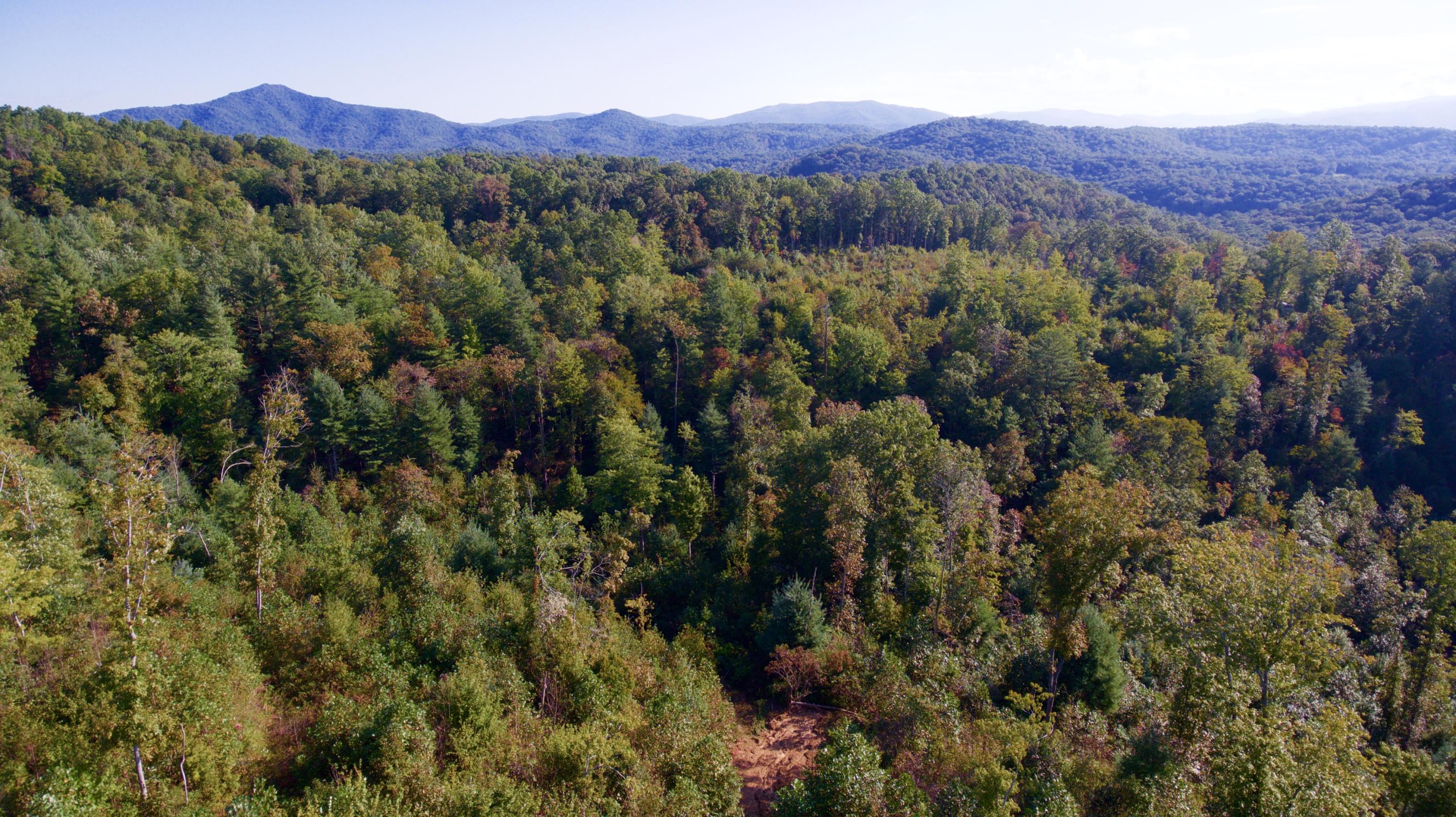 Rainbow Road Lancing, TN 37770 - Photo 7 of 40 7
