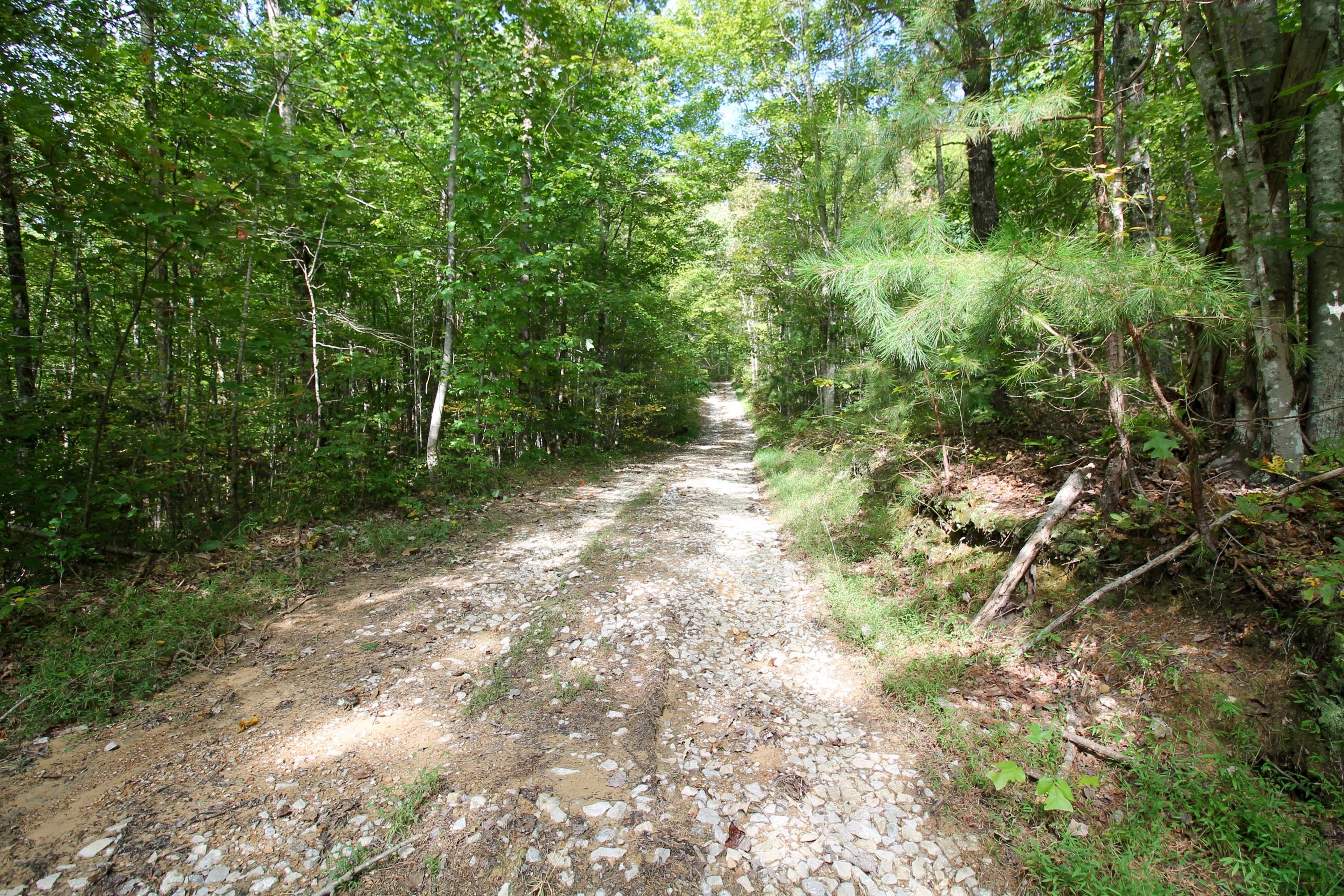 Rainbow Road Lancing, TN 37770 - Photo 10 of 40 10