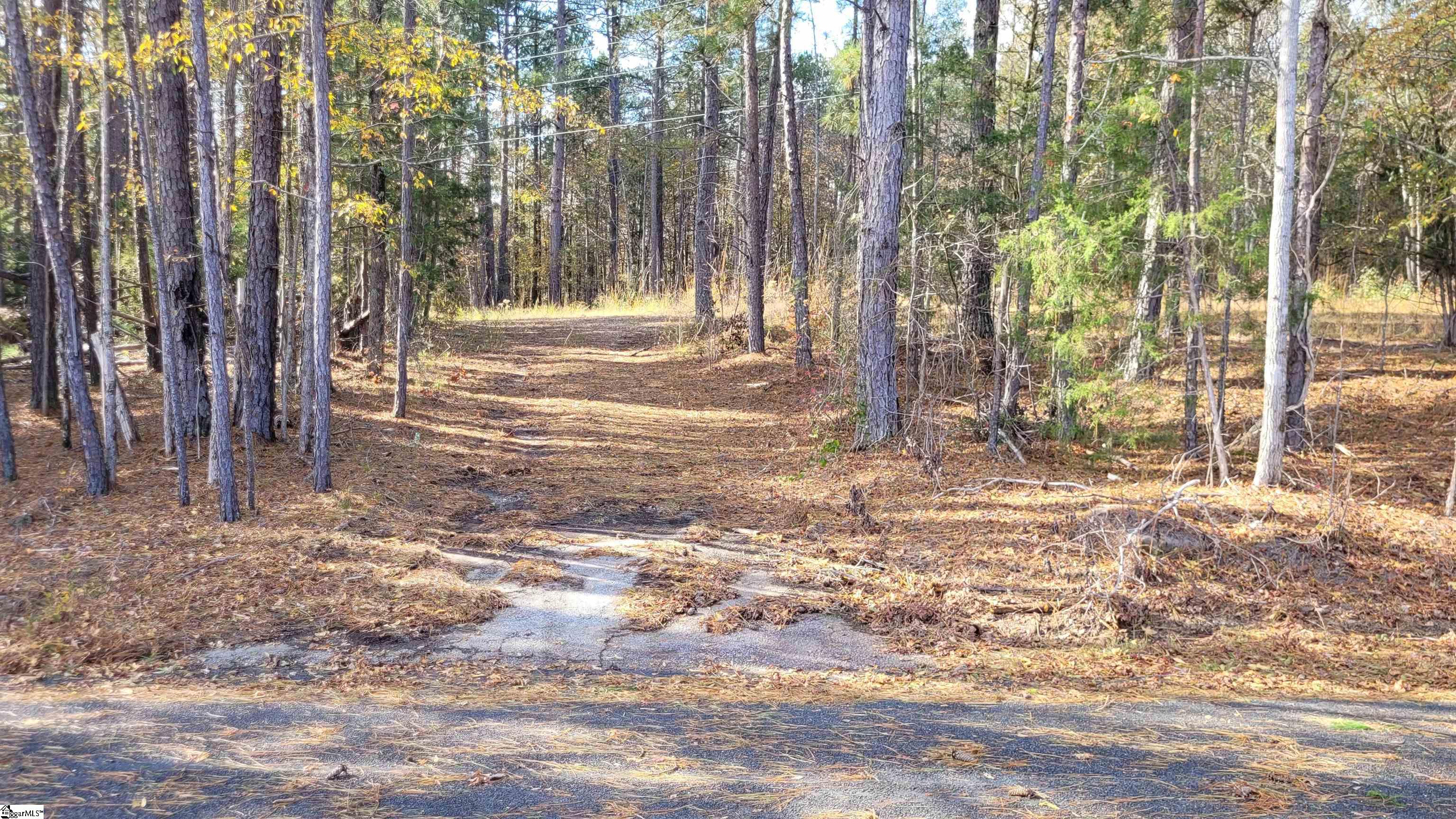 3082 State Rd S-30-82 Laurens, SC 29360 - Photo 3 of 9