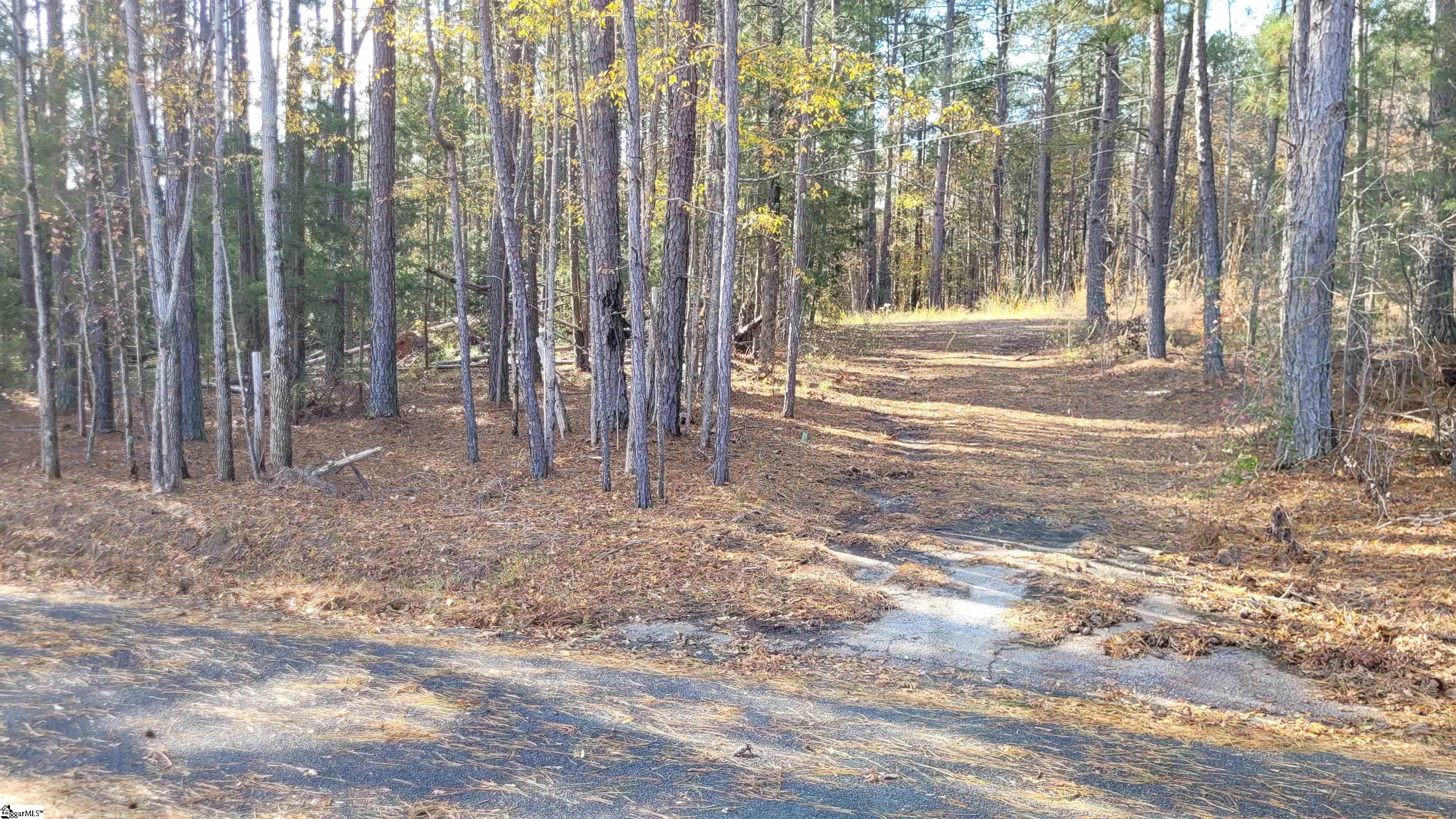 3082 State Rd S-30-82 Laurens, SC 29360 - Photo 4 of 9