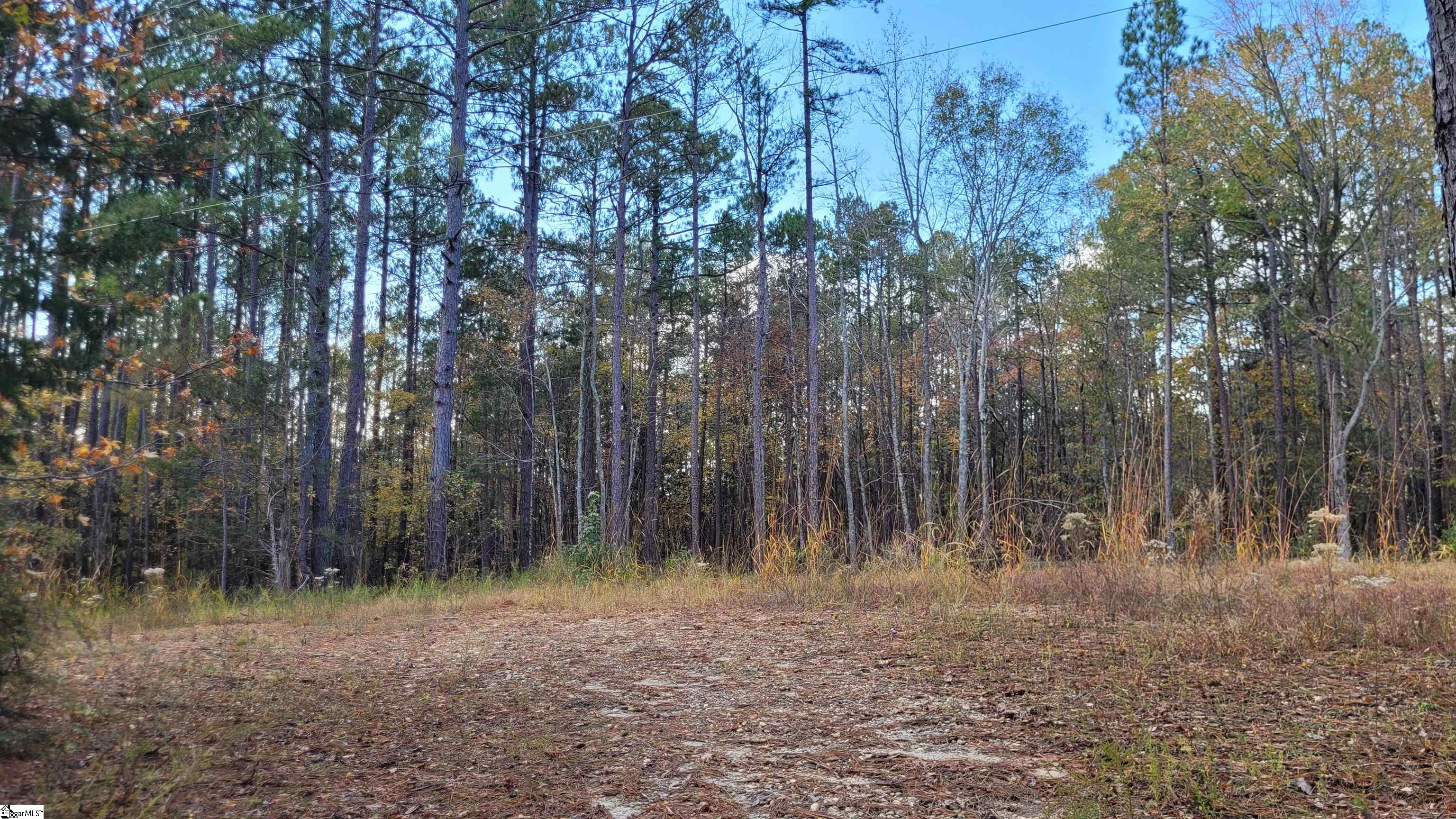 3082 State Rd S-30-82 Laurens, SC 29360 - Photo 5 of 9