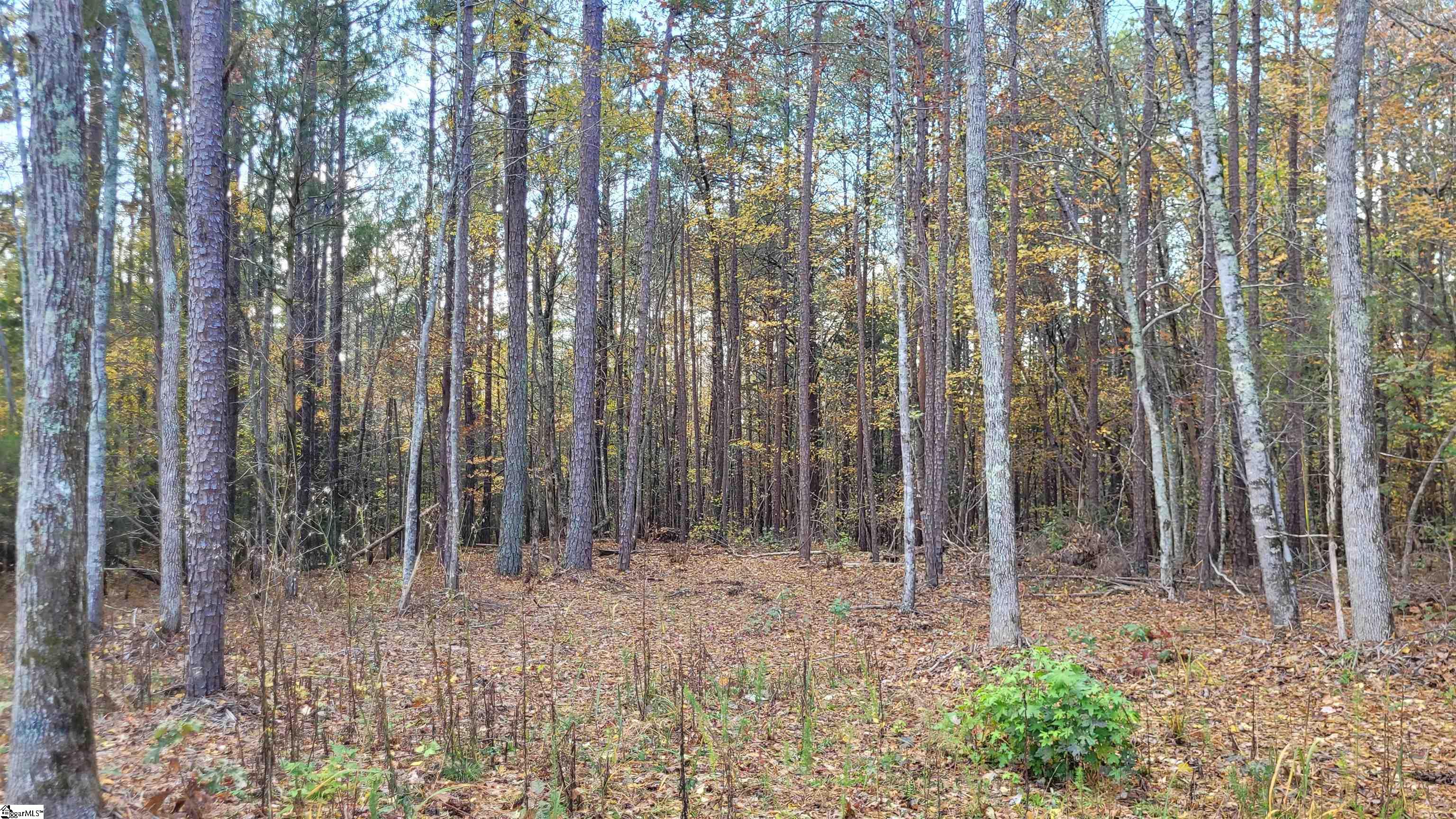 3082 State Rd S-30-82 Laurens, SC 29360 - Photo 6 of 9