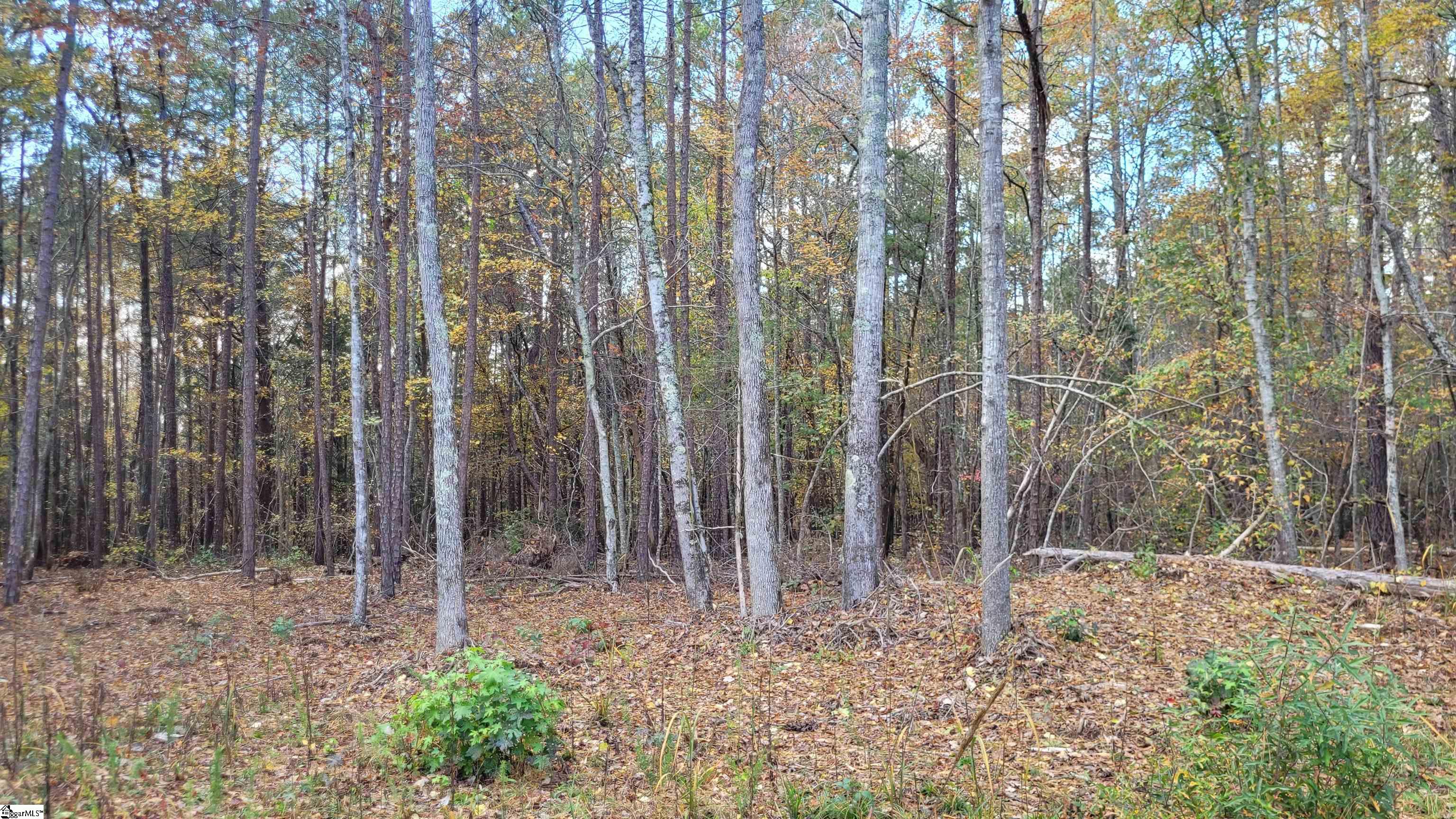 3082 State Rd S-30-82 Laurens, SC 29360 - Photo 7 of 9